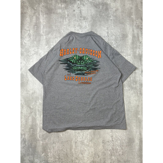 Harley Davidson Motorcycles Clown Graphic T-Shirt Size 2XL Gray