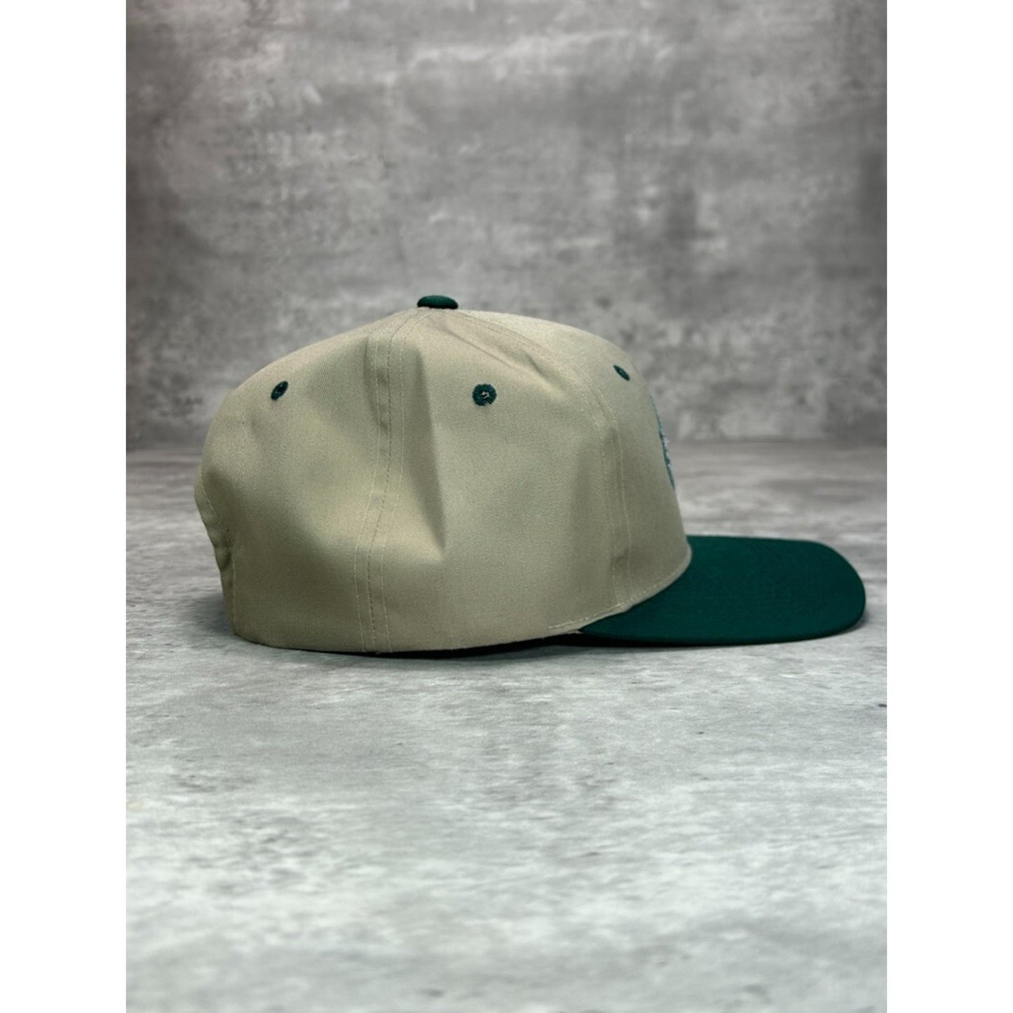 Vintage 90s Philadelphia Eagles NFL Embroidered Logo Football Snapback Hat OSFA