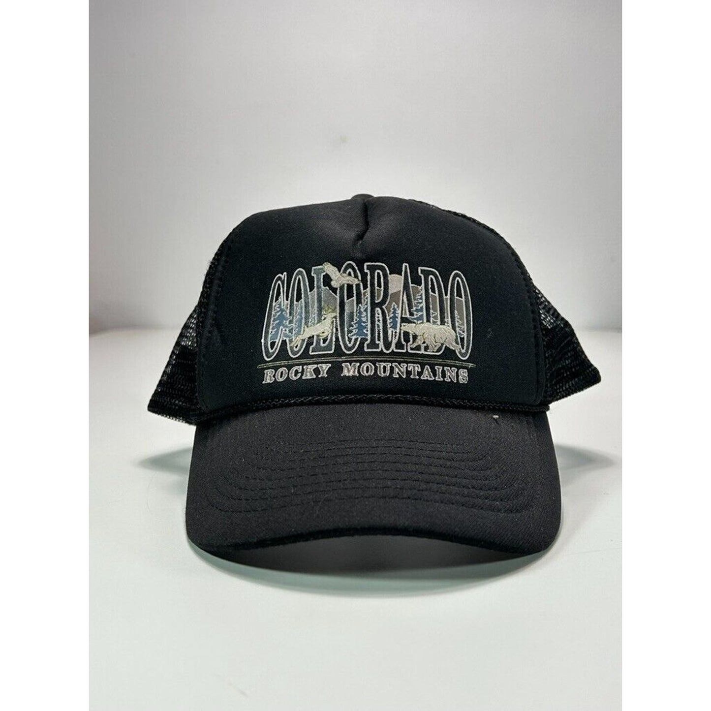 Vintage 80s/90s Colorado Rocky Mountains Graphic Trucker Snapback Hat OSFA