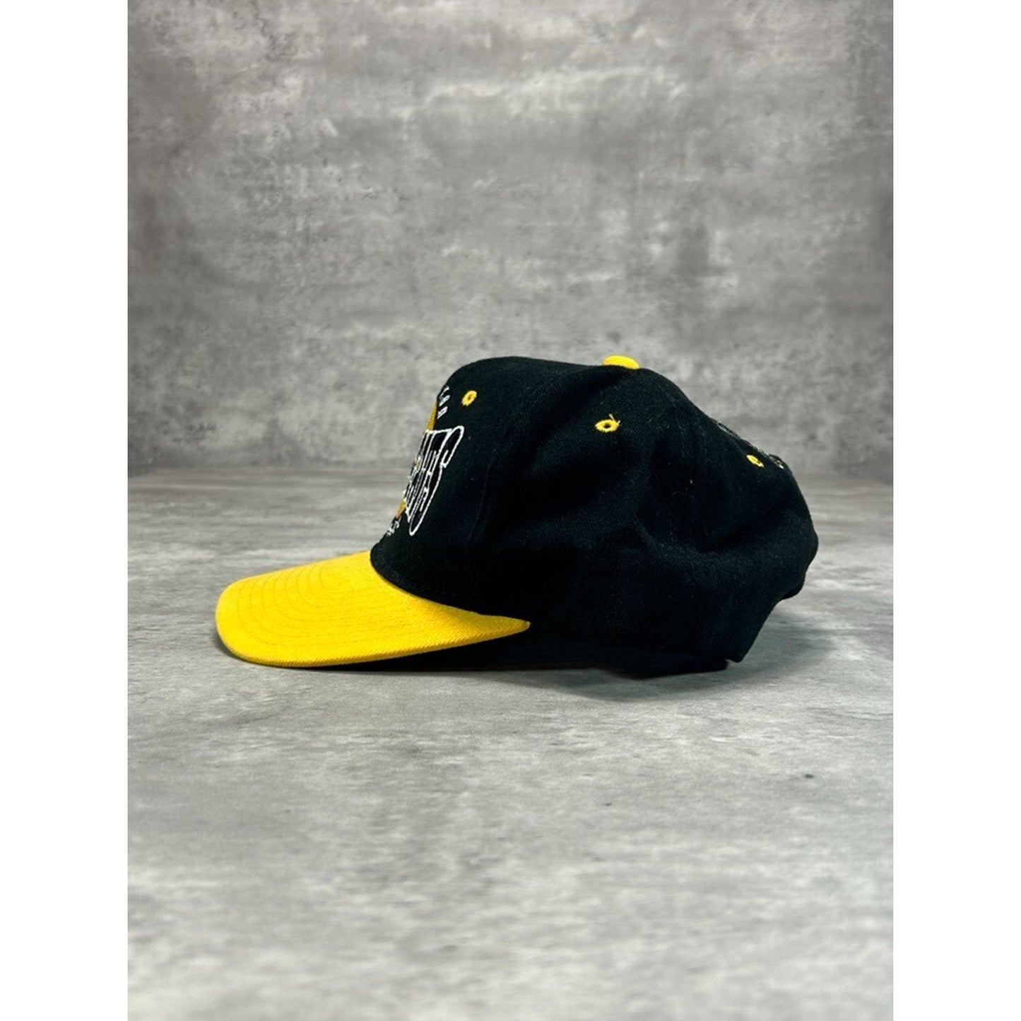 Vintage 90s Hamilton Tiger Cats CFL Embroidered Starter Snapback Hat OSFA