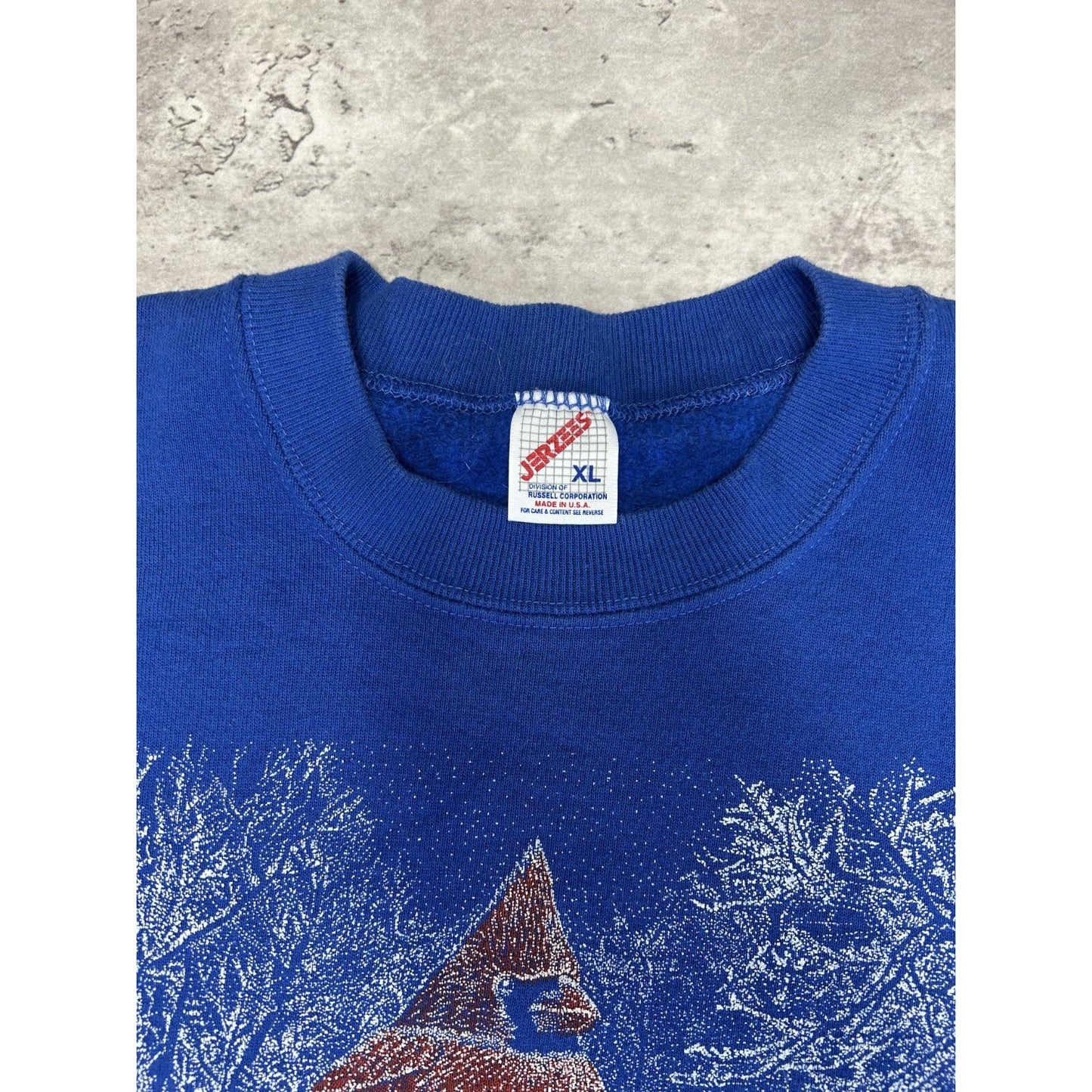 Vintage 90s Indiana Cardinal Nature Wildlife Graphic Sweatshirt Size XL Blue