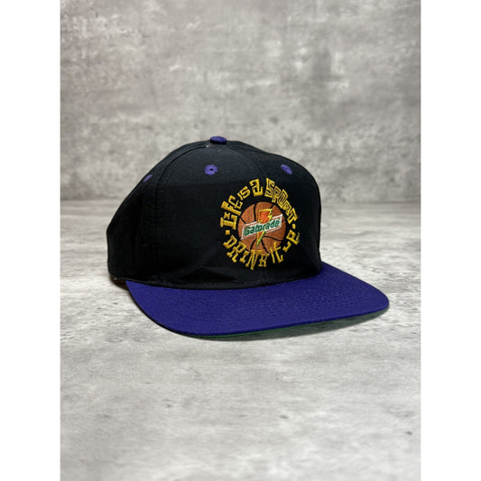VTG Gatorade Life Is A Sport Drink It Up Sports Specialties Snapback Hat OSFA