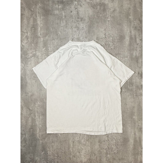 Vintage Jeremy Mayfield #19 Kasey Kahne #9 Nascar Dodge T-Shirt Size Large