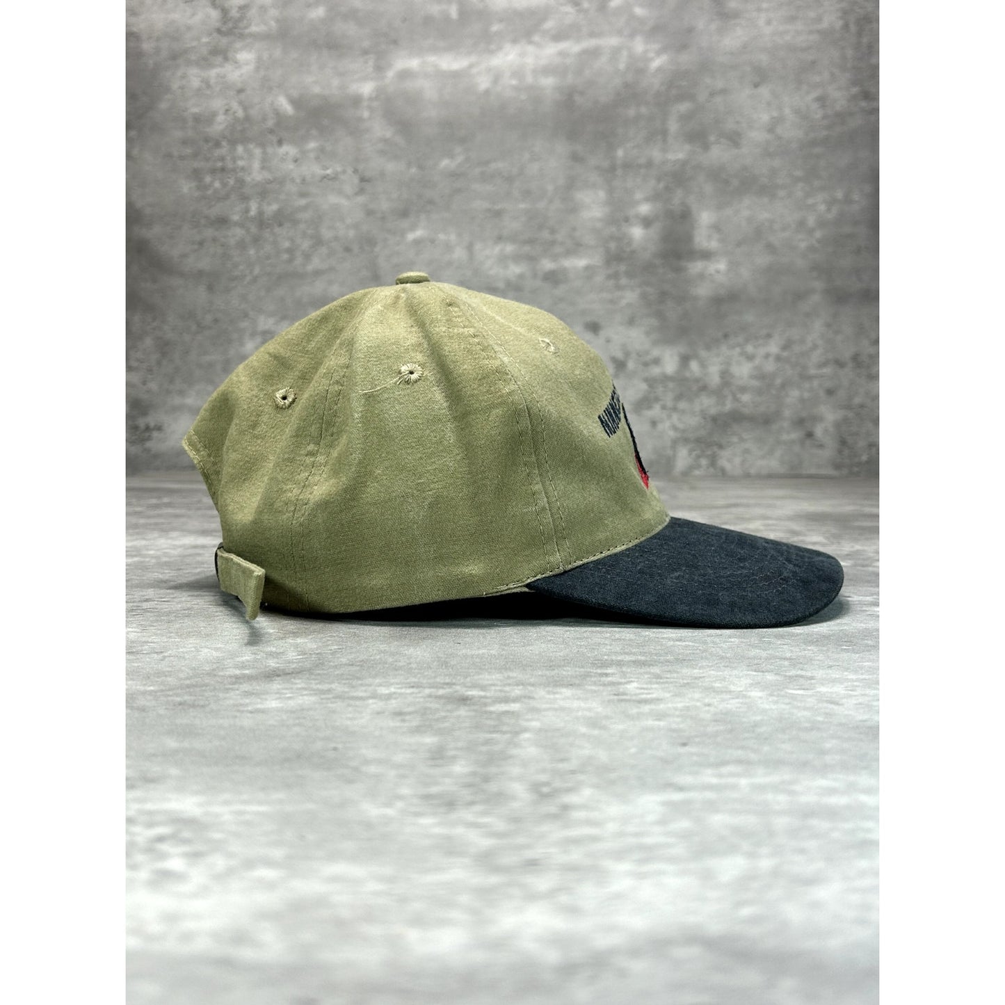 Vintage 90s Minnesota Bound Embroidered Labrador Dog Graphic Strapback Hat OSFA