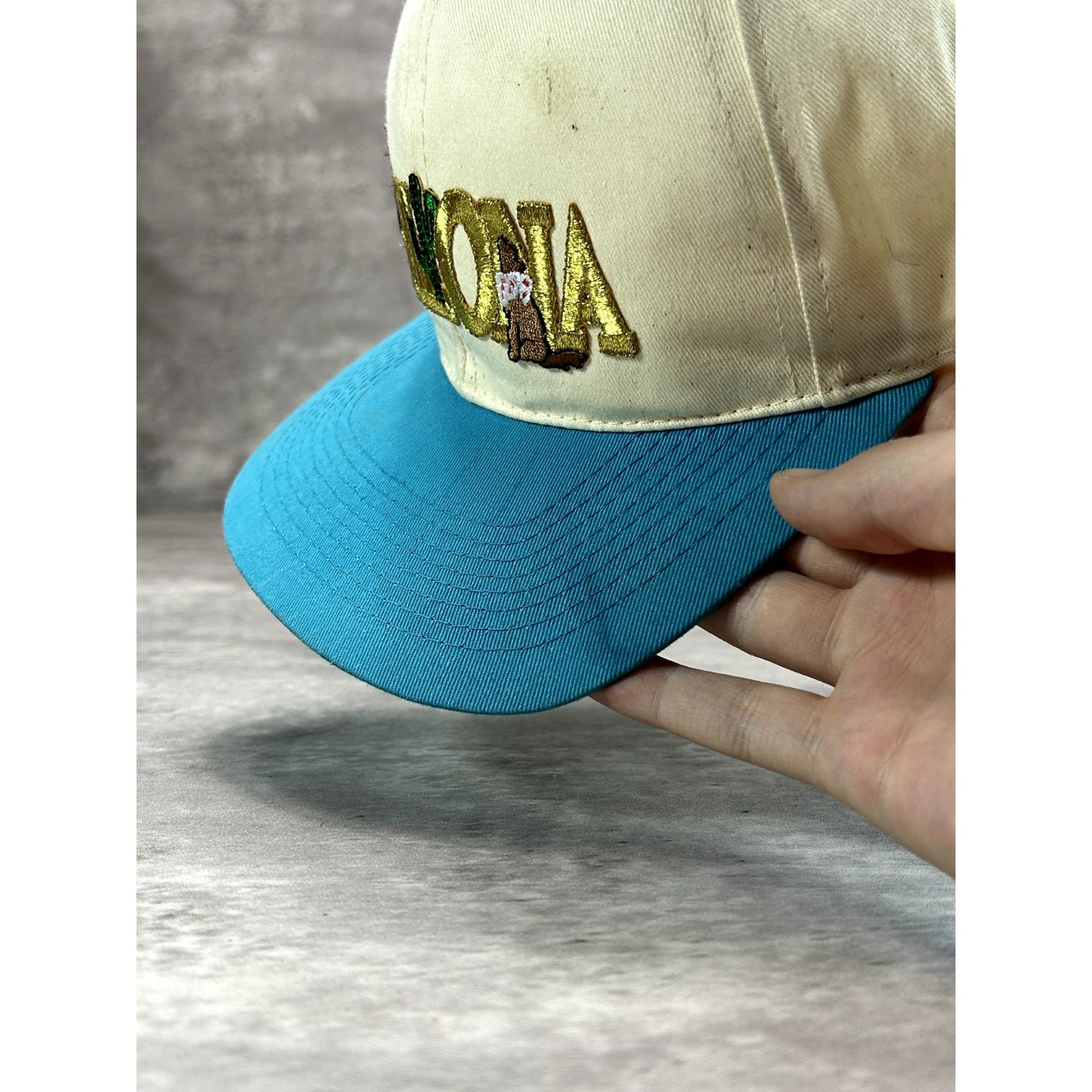 Vintage 90s Arizona Embroidered Spellout Destination Snapback Hat OSFA