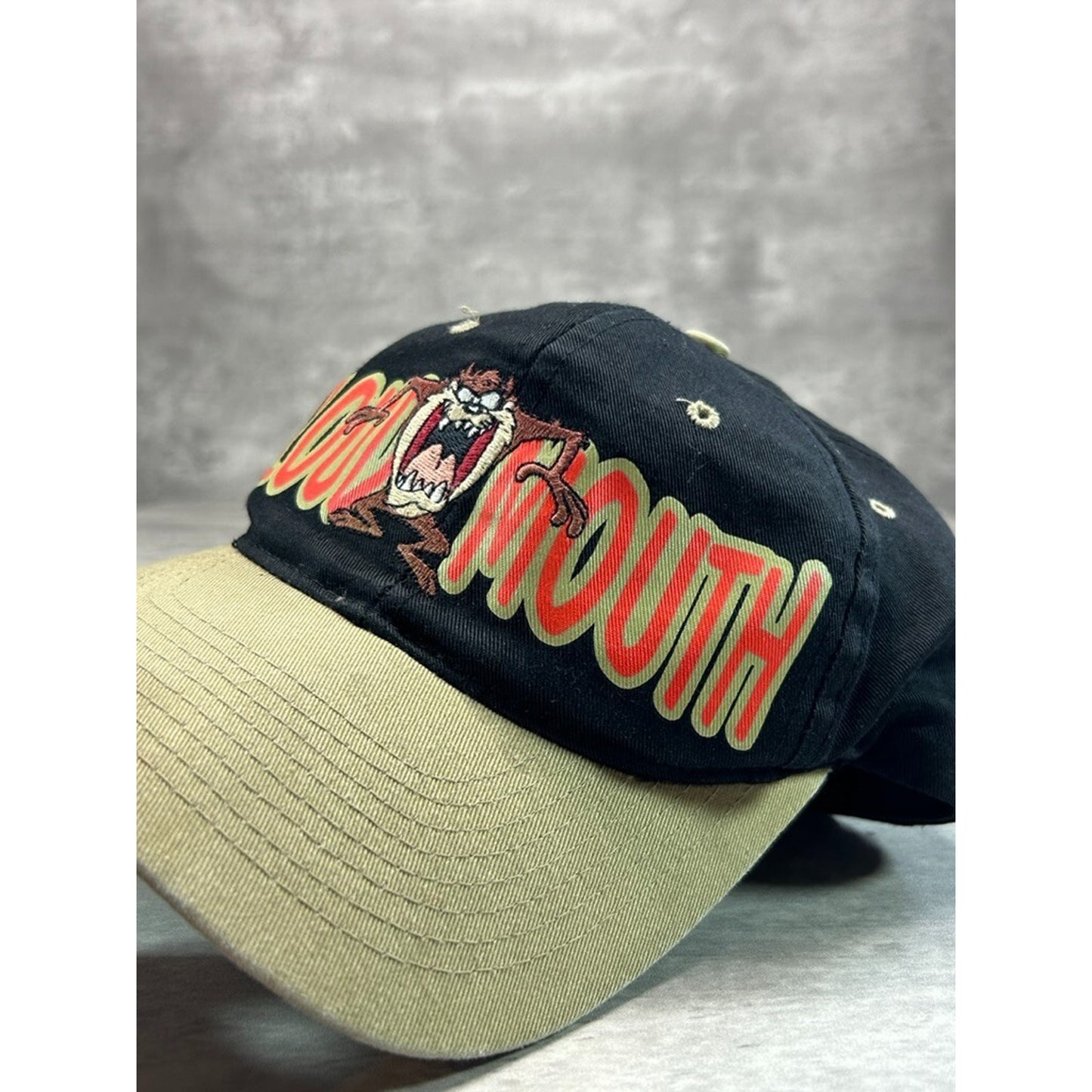 Vintage 90s Looney Tunes Taz Loud Mouth TV Show Promo Snapback Hat OSFA