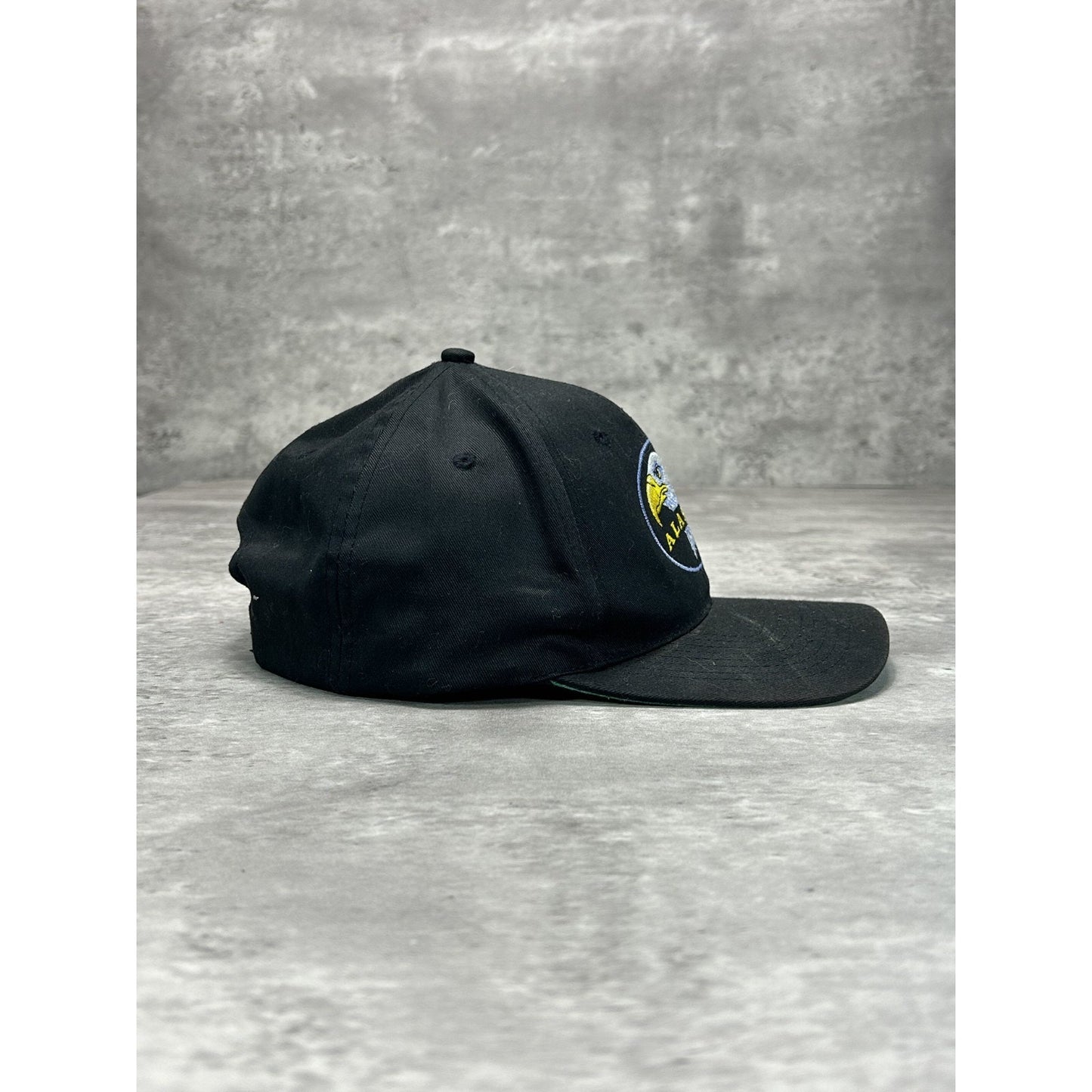 Vintage 90s Alaska Embroidered Bald Eagle Destination Snapback Hat OSFA