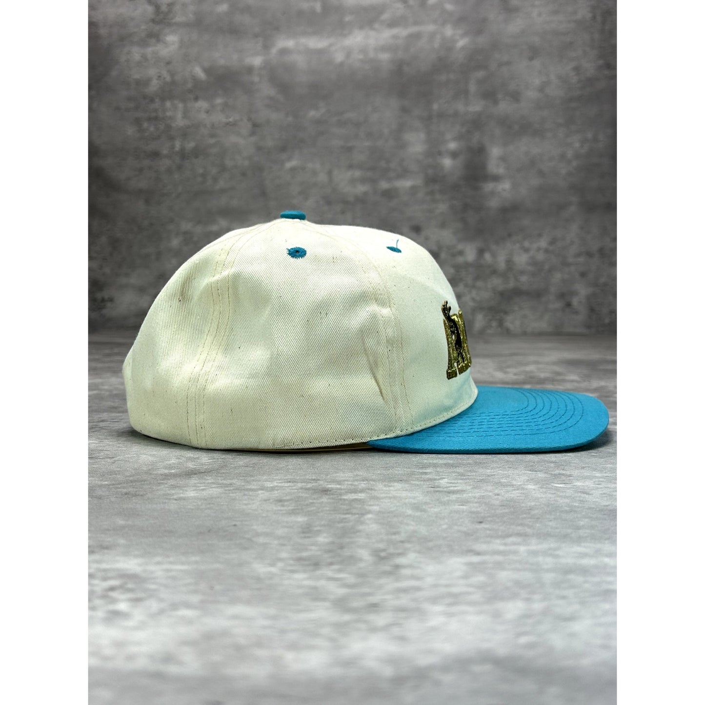 Vintage 90s Arizona Embroidered Spellout Destination Snapback Hat OSFA