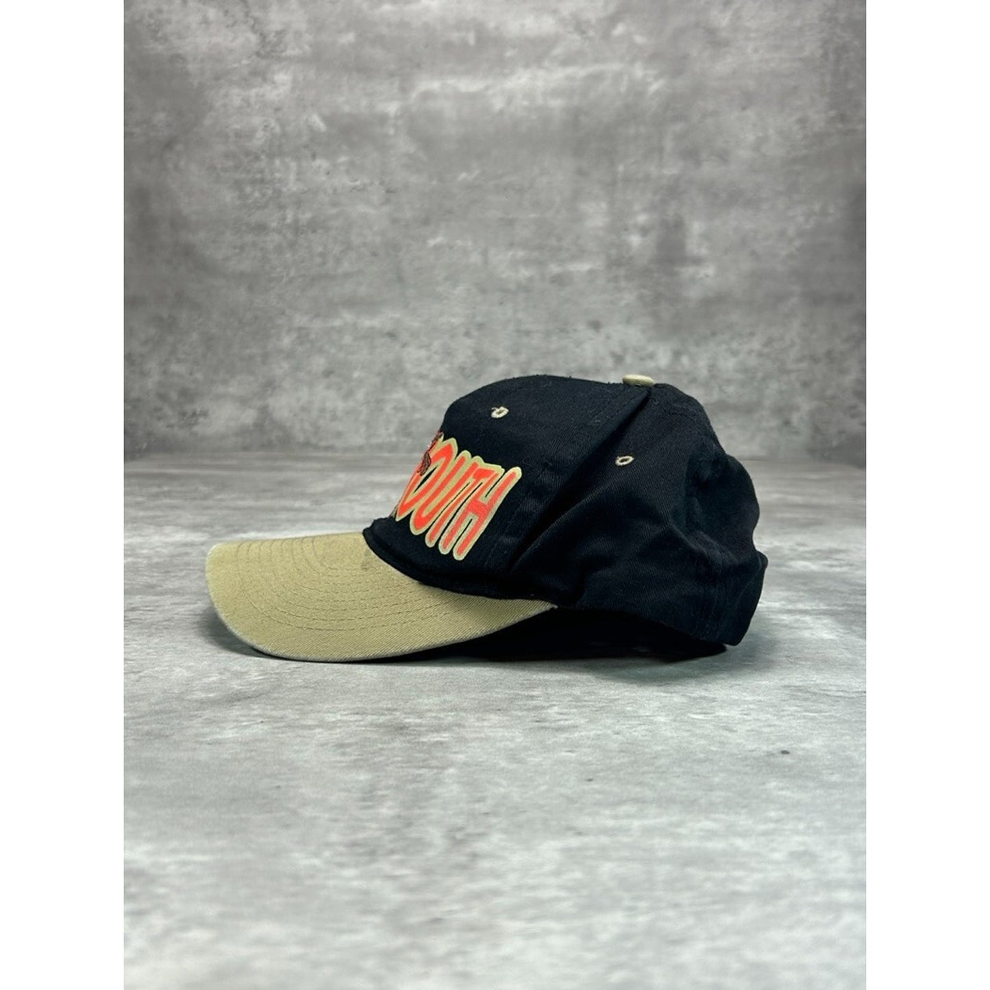 Vintage 90s Looney Tunes Taz Loud Mouth TV Show Promo Snapback Hat OSFA