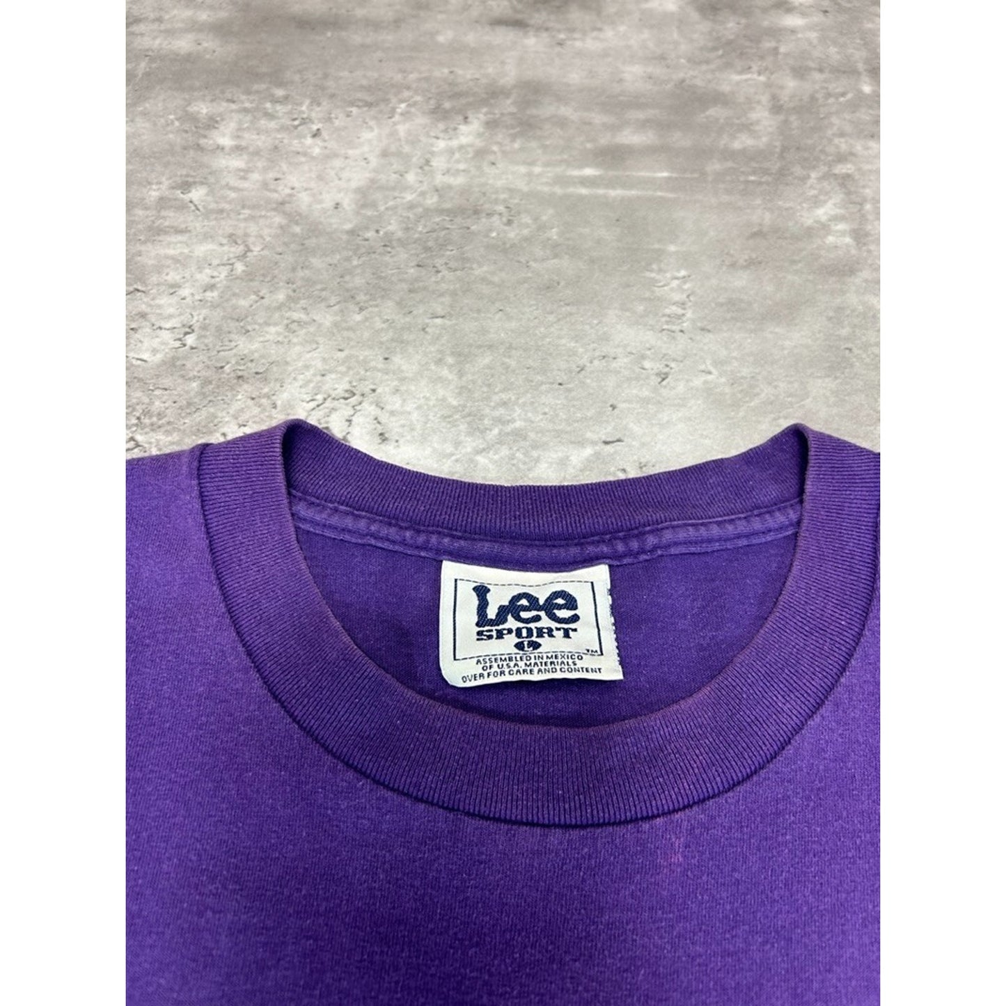 Vintage 1998 Minnesota Vikings NFL NFC Central Division Champs T-Shirt Size Large