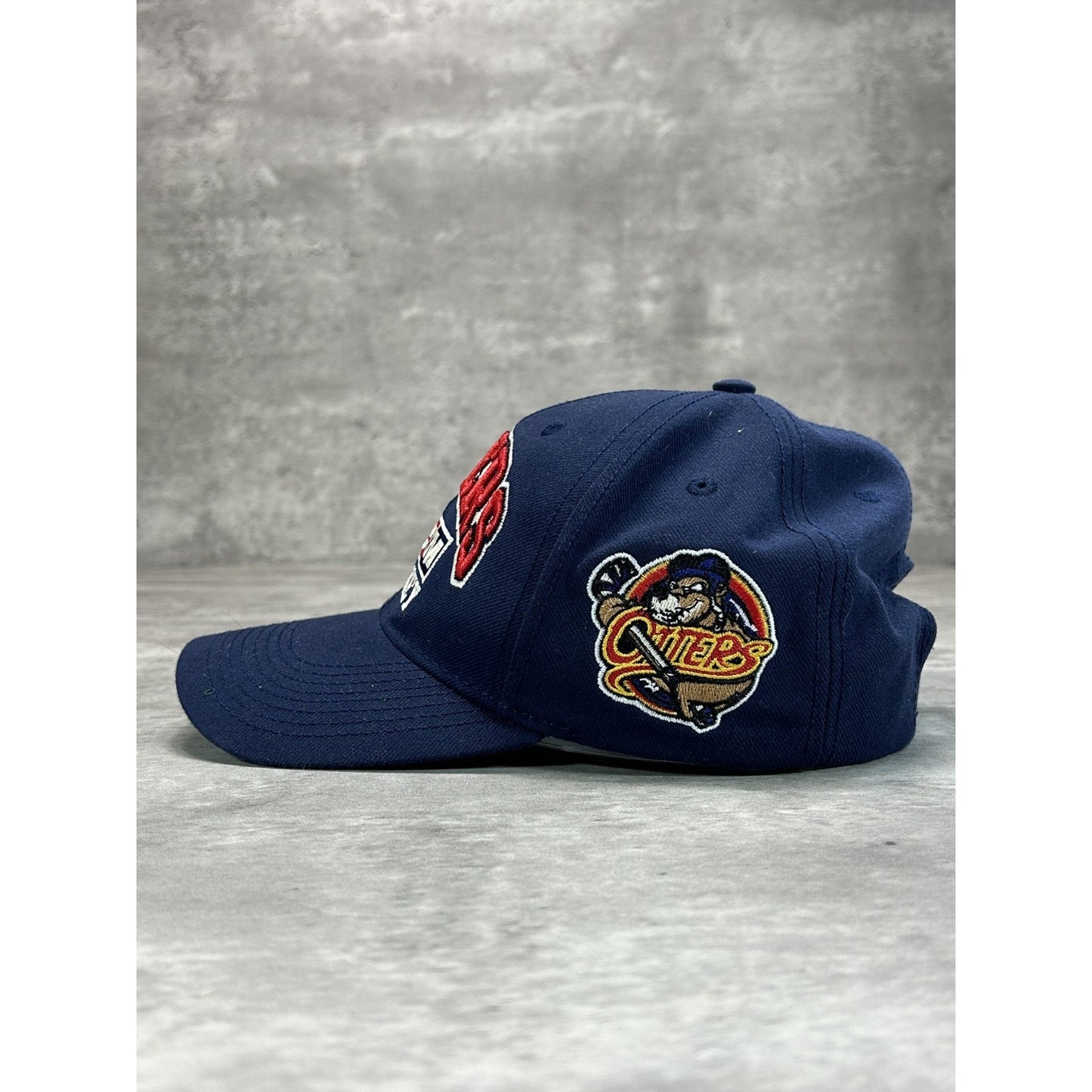 Vintage 2000s Erie Otters OHL Embroidered Logo CCM Hockey Snapback Hat OSFA