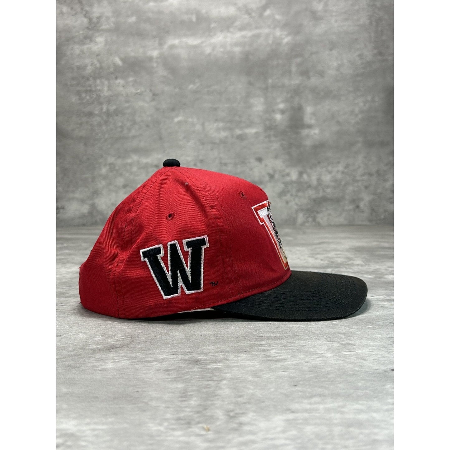 VTG 90s Wisconsin Badgers NCAA Sports Specialties Back Script Snapback Hat OSFA