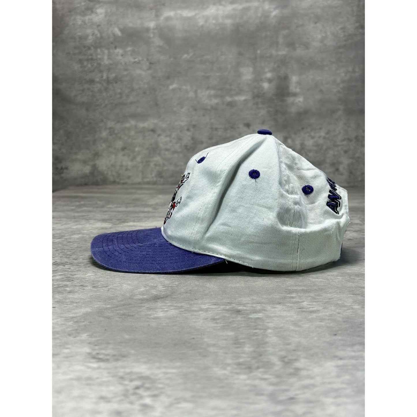 Vintage 1994 Animaniacs Embroidered Cartoon TV Show Promo Snapback Hat OSFA