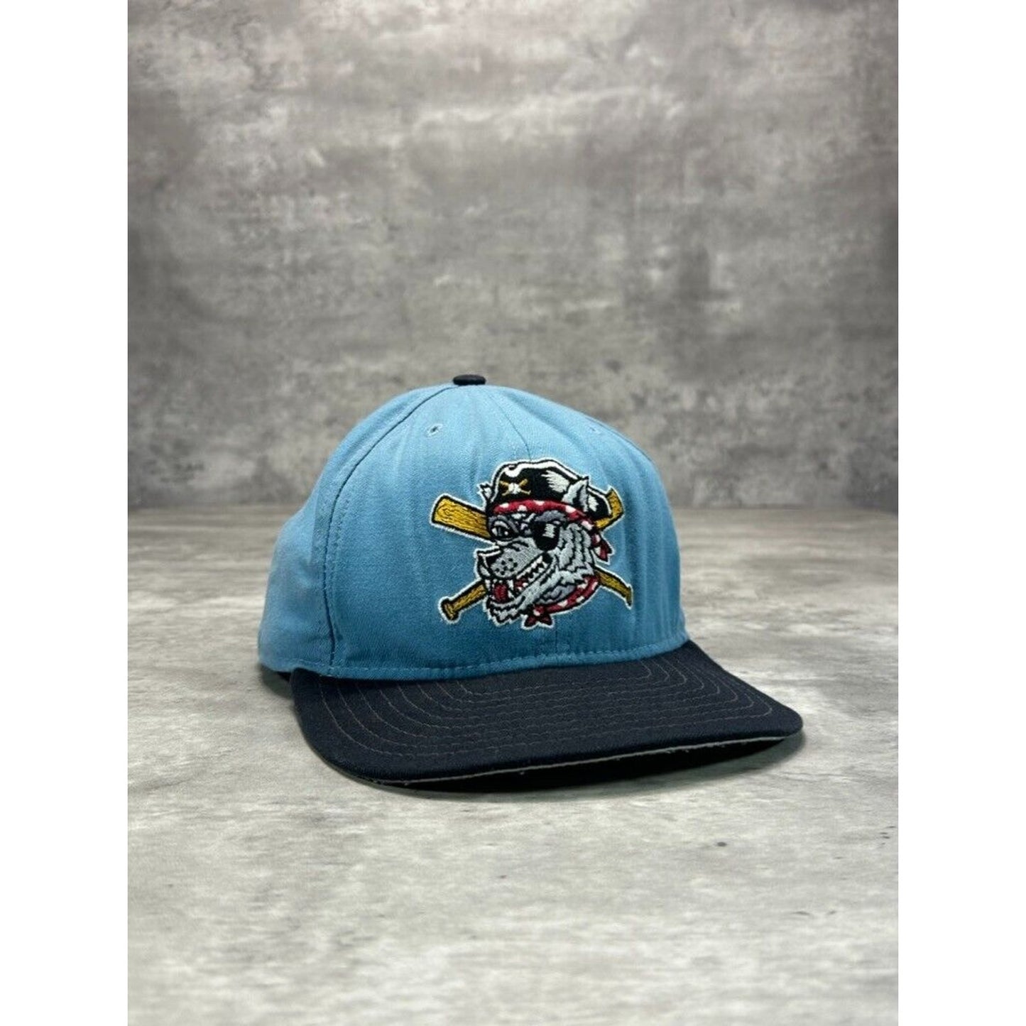 Vintage 90s Eerie Seawolves Milb Embroidered Logo Baseball Snapback Hat OSFA