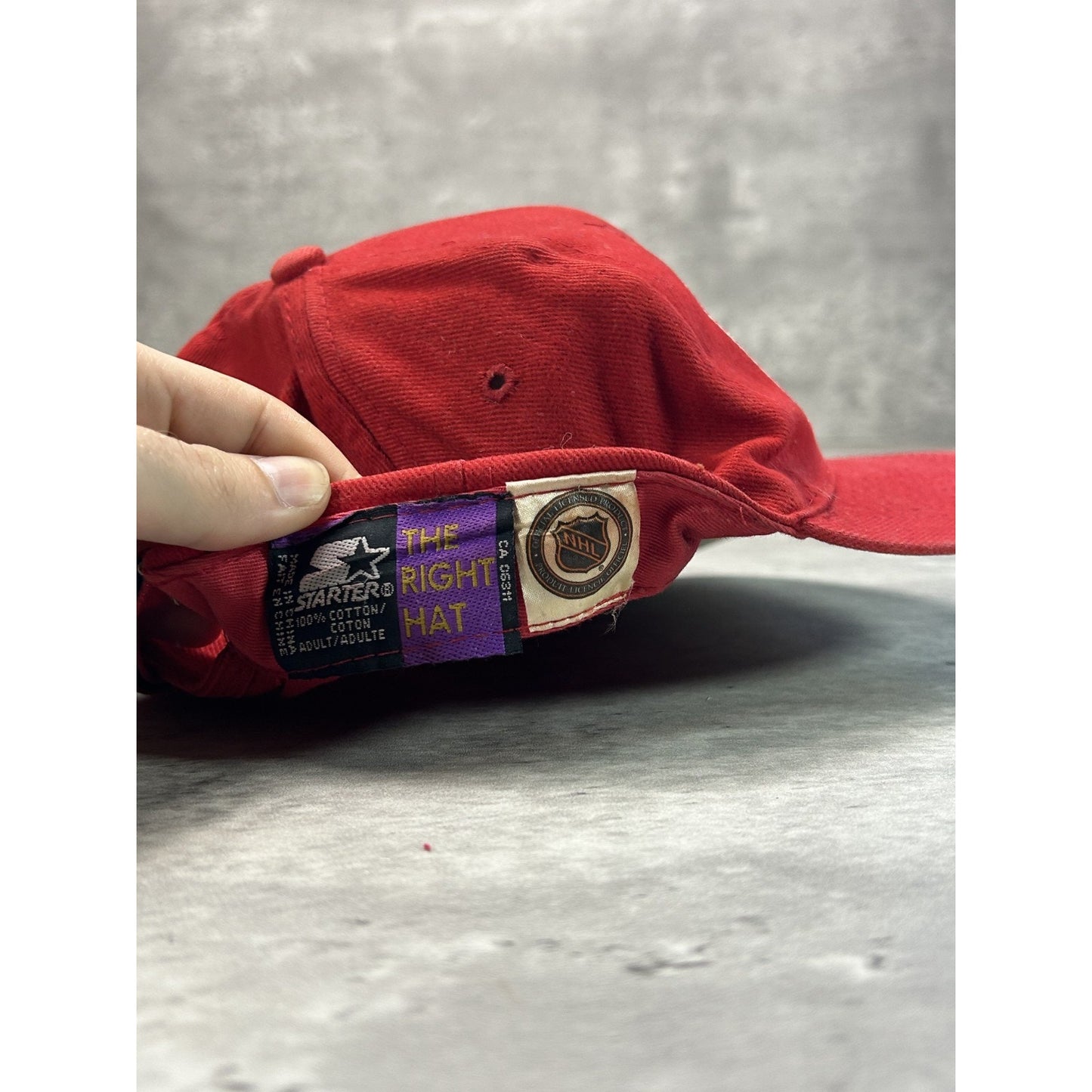 Vintage 90s Detroit Red Wings NHL Starter Arc Spellout Strapback Hat OSFA Red