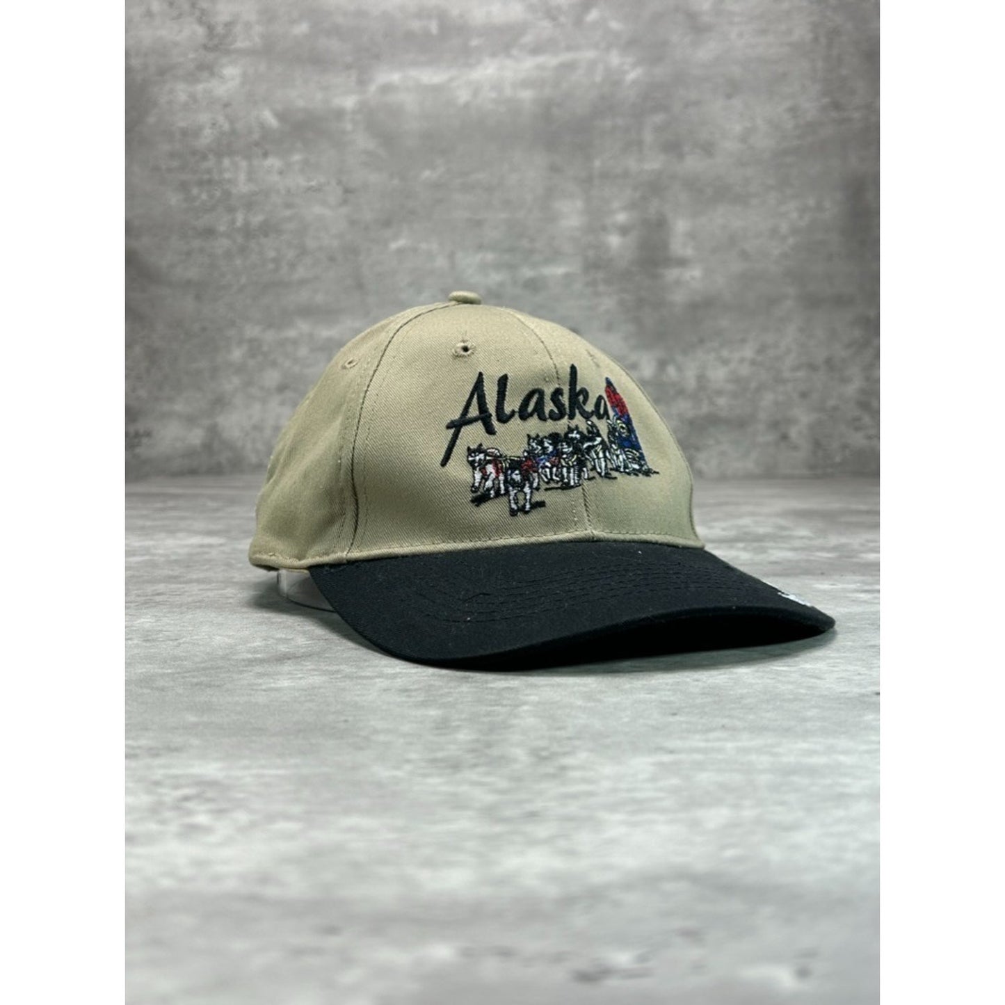 Vintage 90s Alaska Embroidered Dog Sledding Destination Strapback Hat OSFA