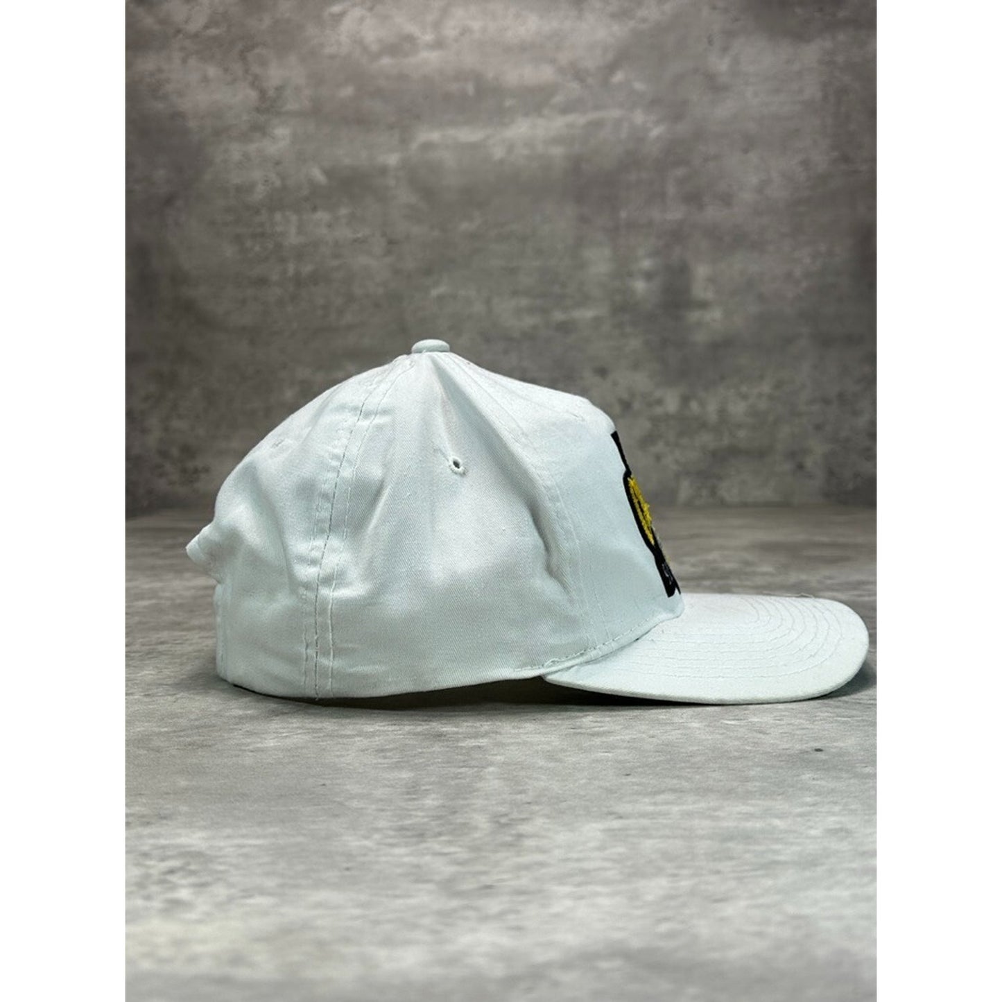 Vintage 1992 Pittsburgh Penguins NHL Back To Back Champs Snapback Hat OSFA