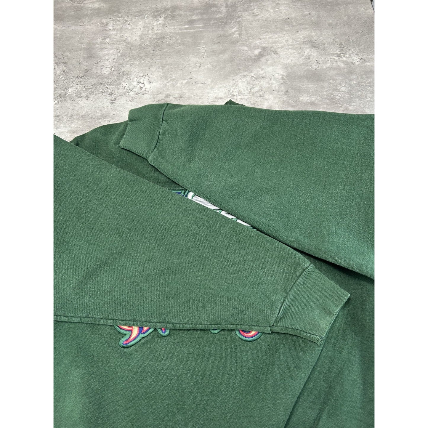 Vintage Grand Rapid Griffins AHL Embroidered Logo Hockey Sweatshirt Size Large