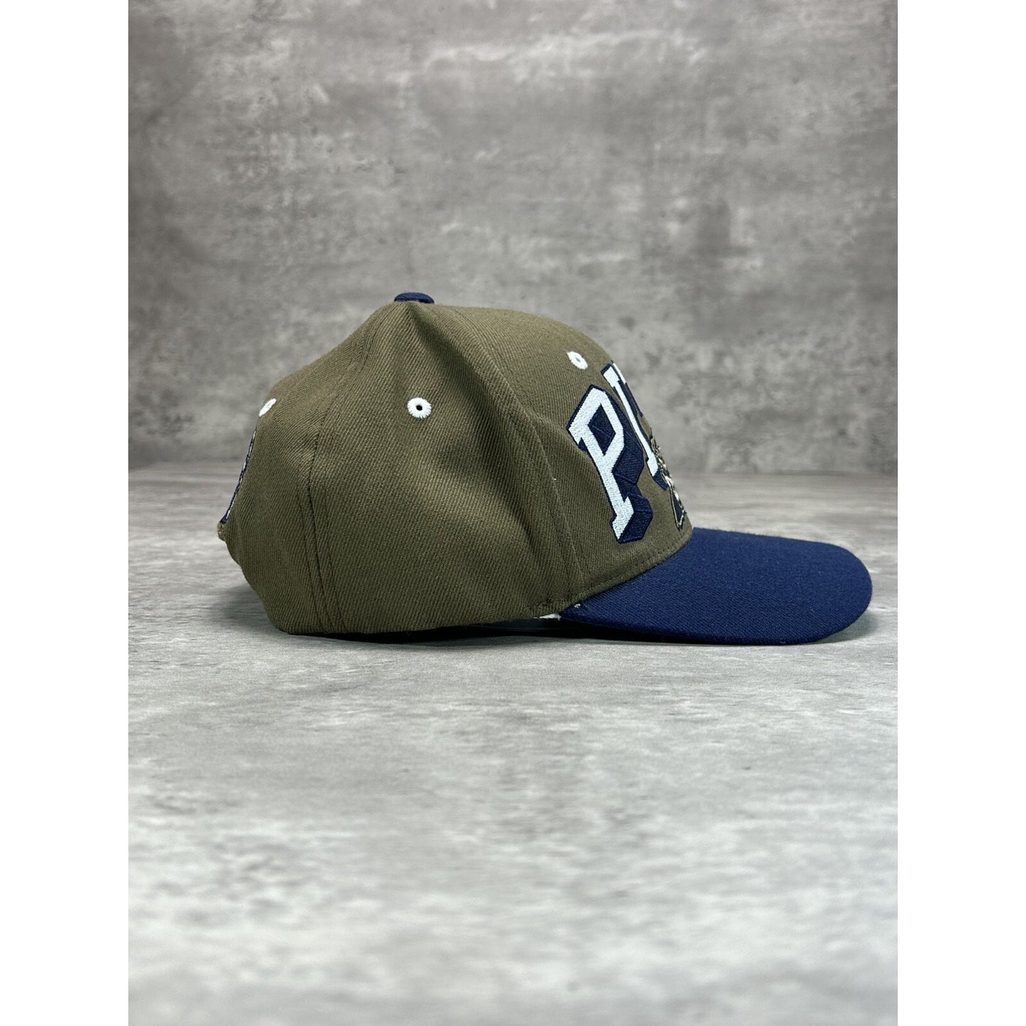Vintage Pitt Panthers NCAA Collegiate Big Spellout Snapback Hat OSFA