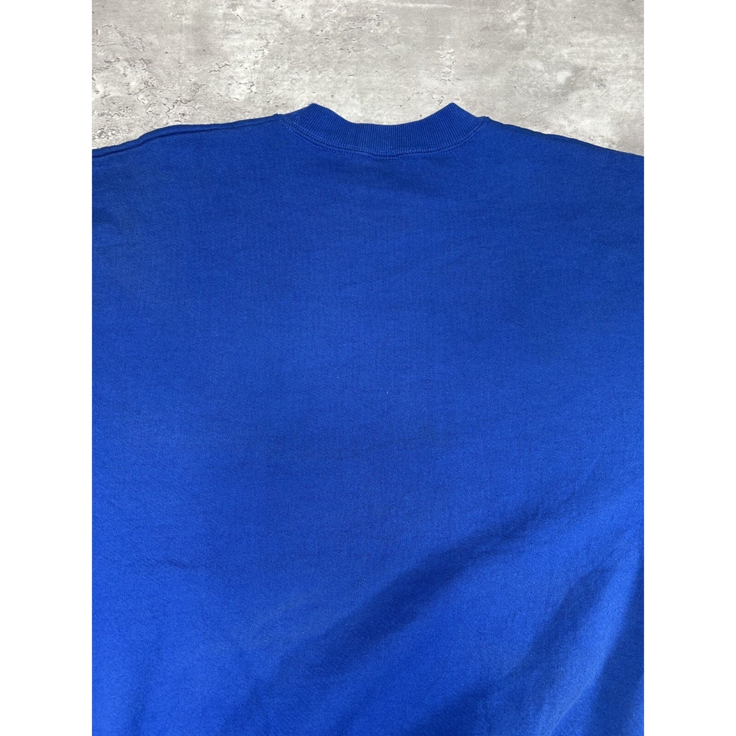 Vintage 90s Indiana Cardinal Nature Wildlife Graphic Sweatshirt Size XL Blue