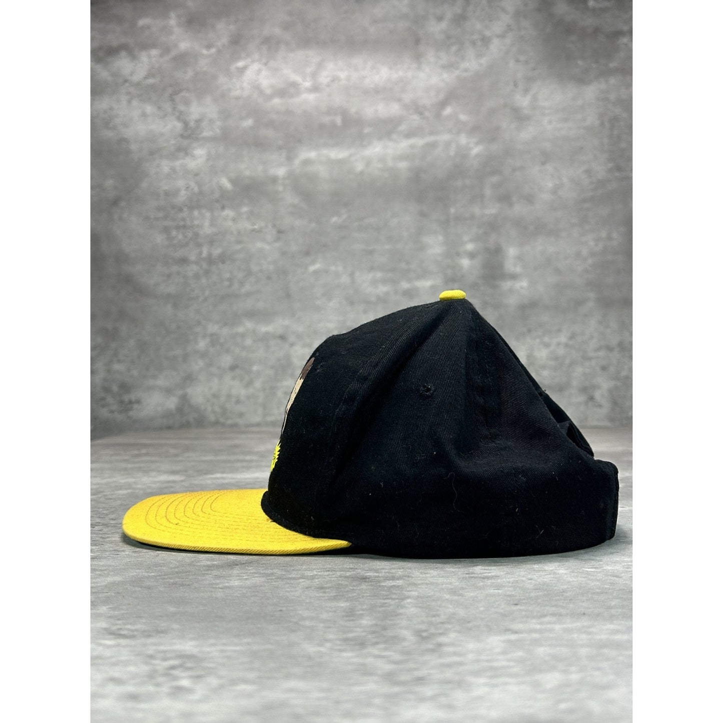 Vintage 90s MTV Beavis & Butthead TV Show Promo Graphic Snapback Hat OSFA