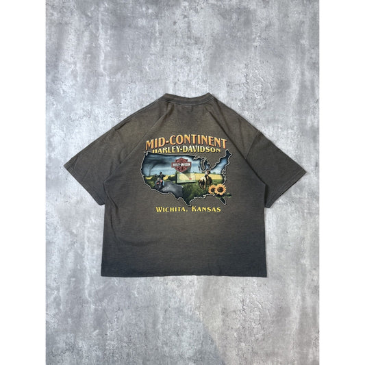 Vintage Harley Davidson Spellout Flame Graphic Cropped T-Shirt Size XL