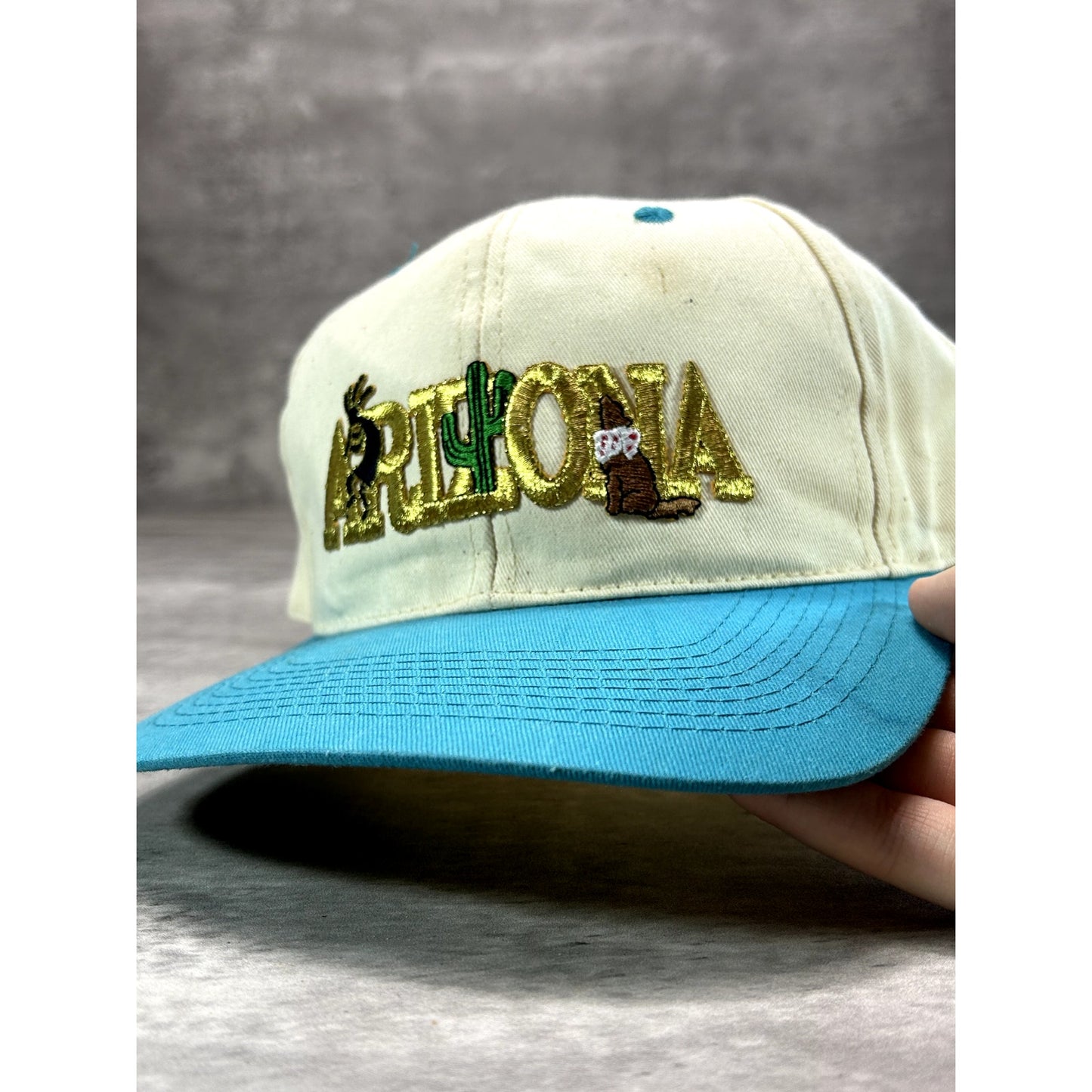 Vintage 90s Arizona Embroidered Spellout Destination Snapback Hat OSFA