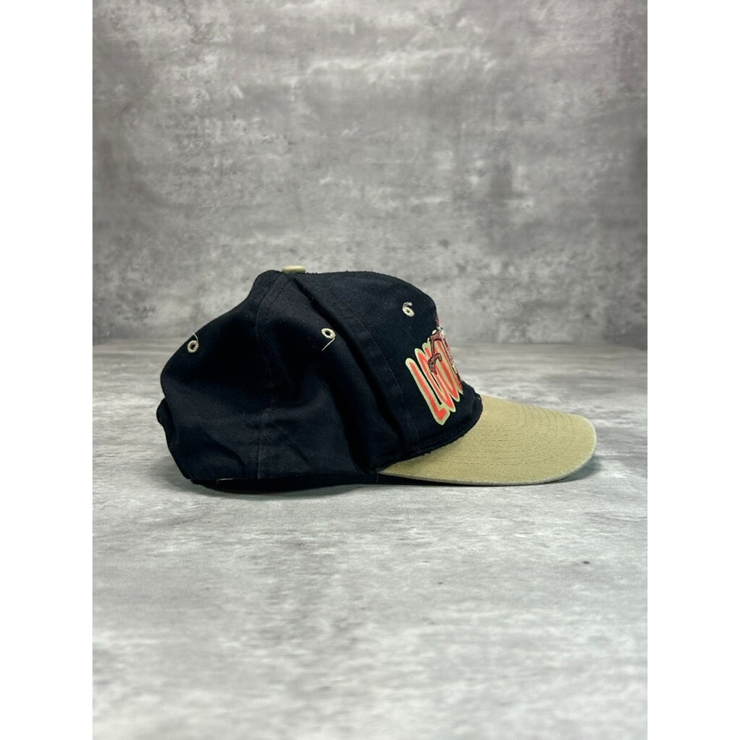 Vintage 90s Looney Tunes Taz Loud Mouth TV Show Promo Snapback Hat OSFA