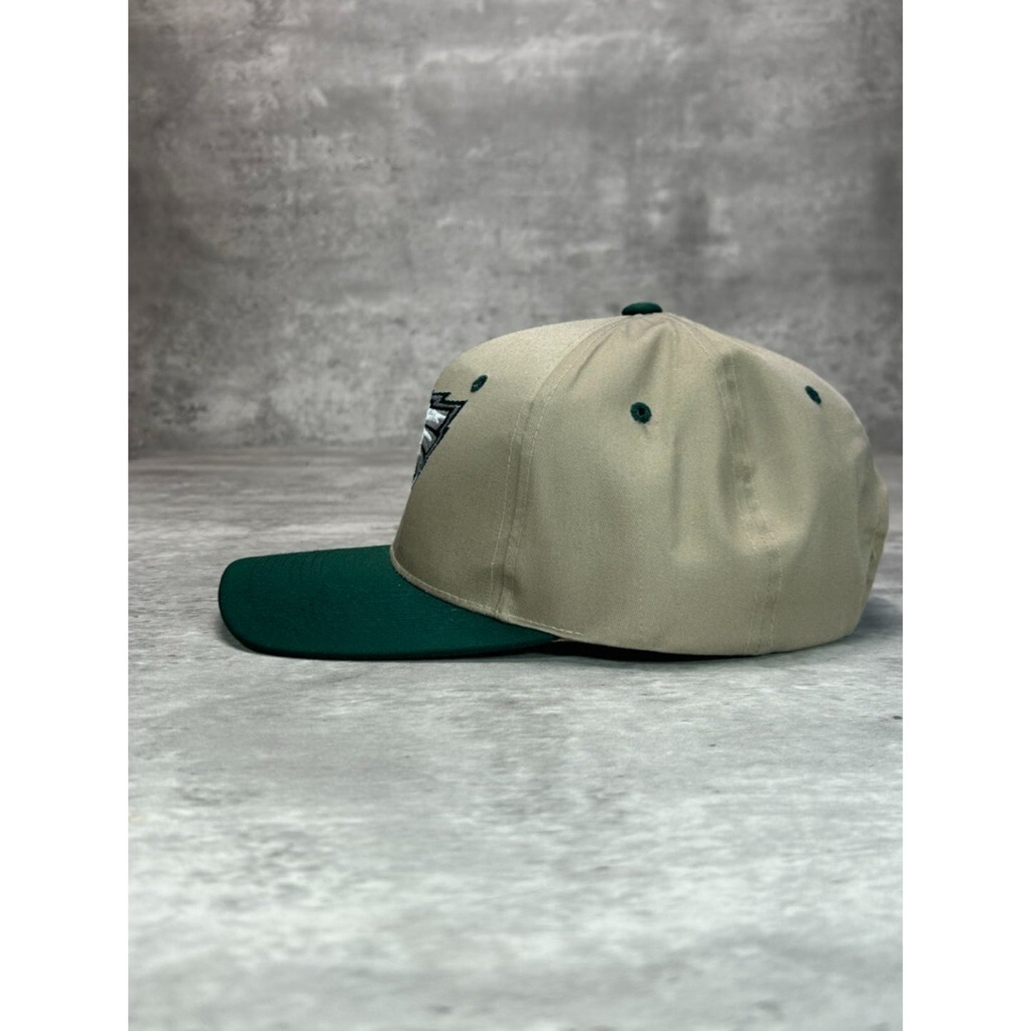 Vintage 90s Philadelphia Eagles NFL Embroidered Logo Football Snapback Hat OSFA