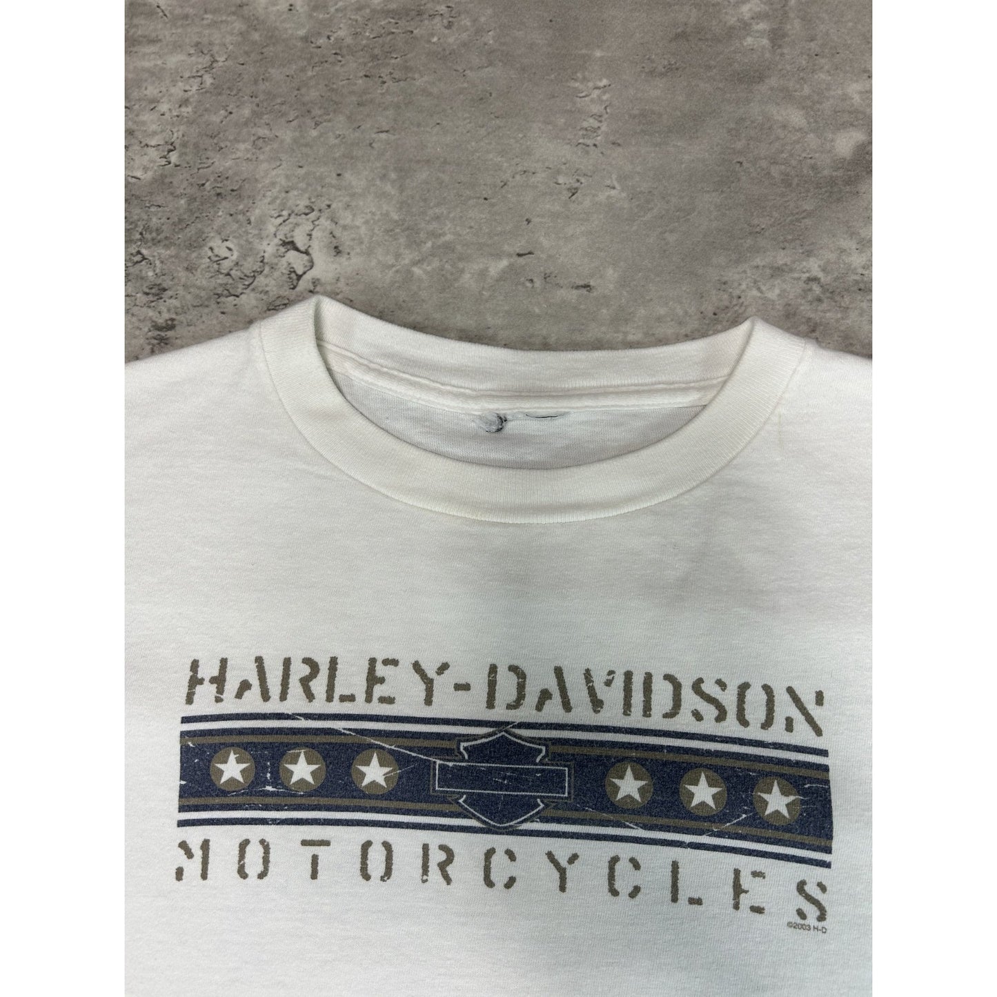 Vintage Harley Davidson Motorcycles Spellout Long Sleeve Graphic T-Shirt Medium
