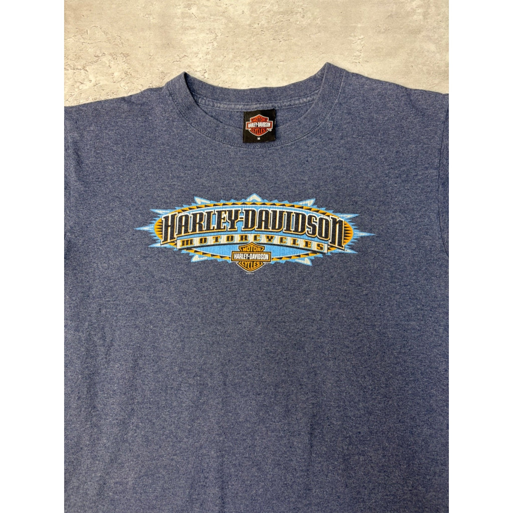 Vintage 2005 Harley Davidson Graphic Spellout T-Shirt Size Medium