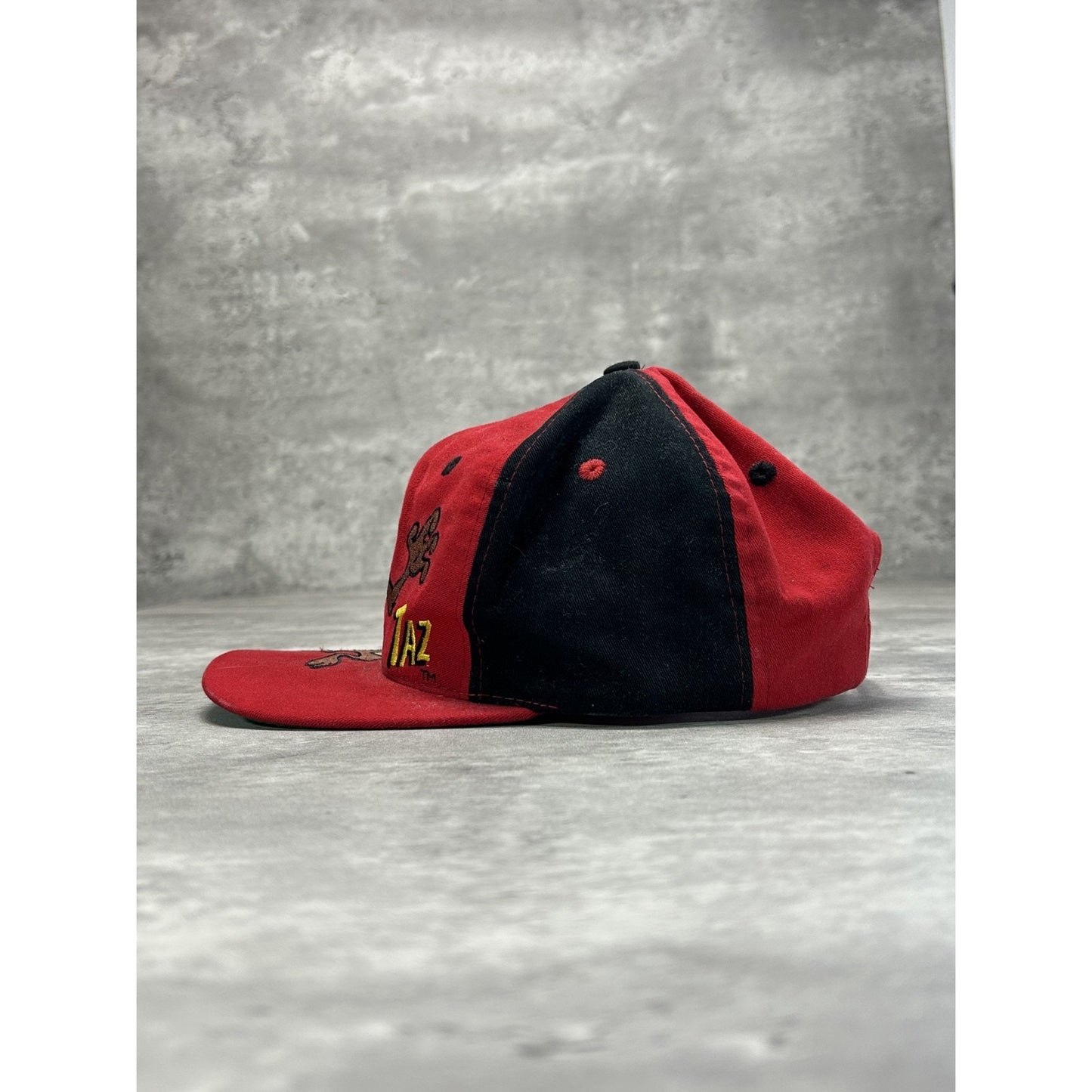 Vintage 1994 Looney Tunes Taz Embroidered Cartoon Character Snapback Hat OSFA