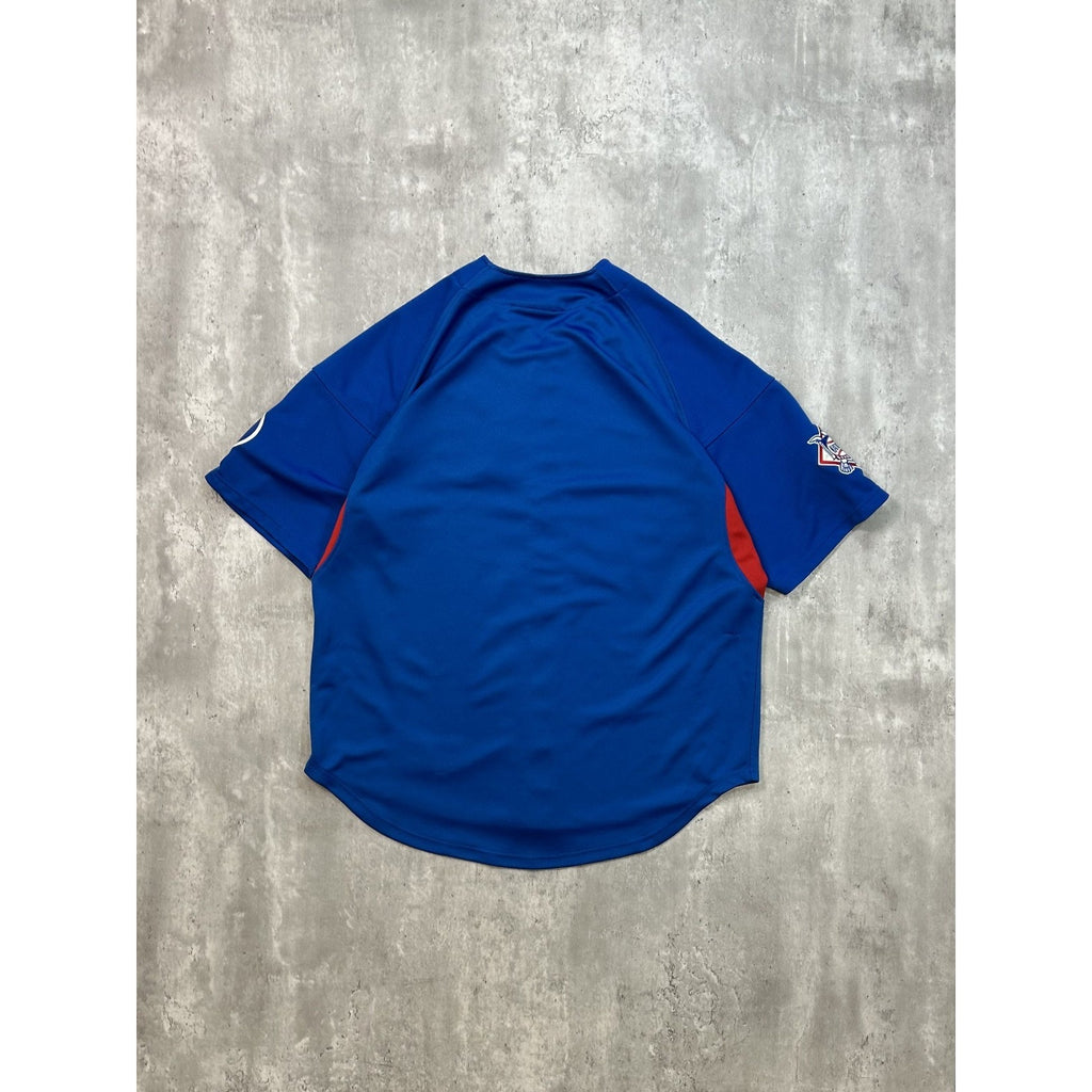 Vintage Chicago Cubs MLB Stitched Nike Baseball Jersey Size Large