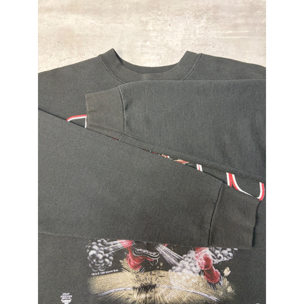 Vintage 1993 Chicago Bulls NBA Looney Tunes Taz Graphic Sweatshirt Size XL