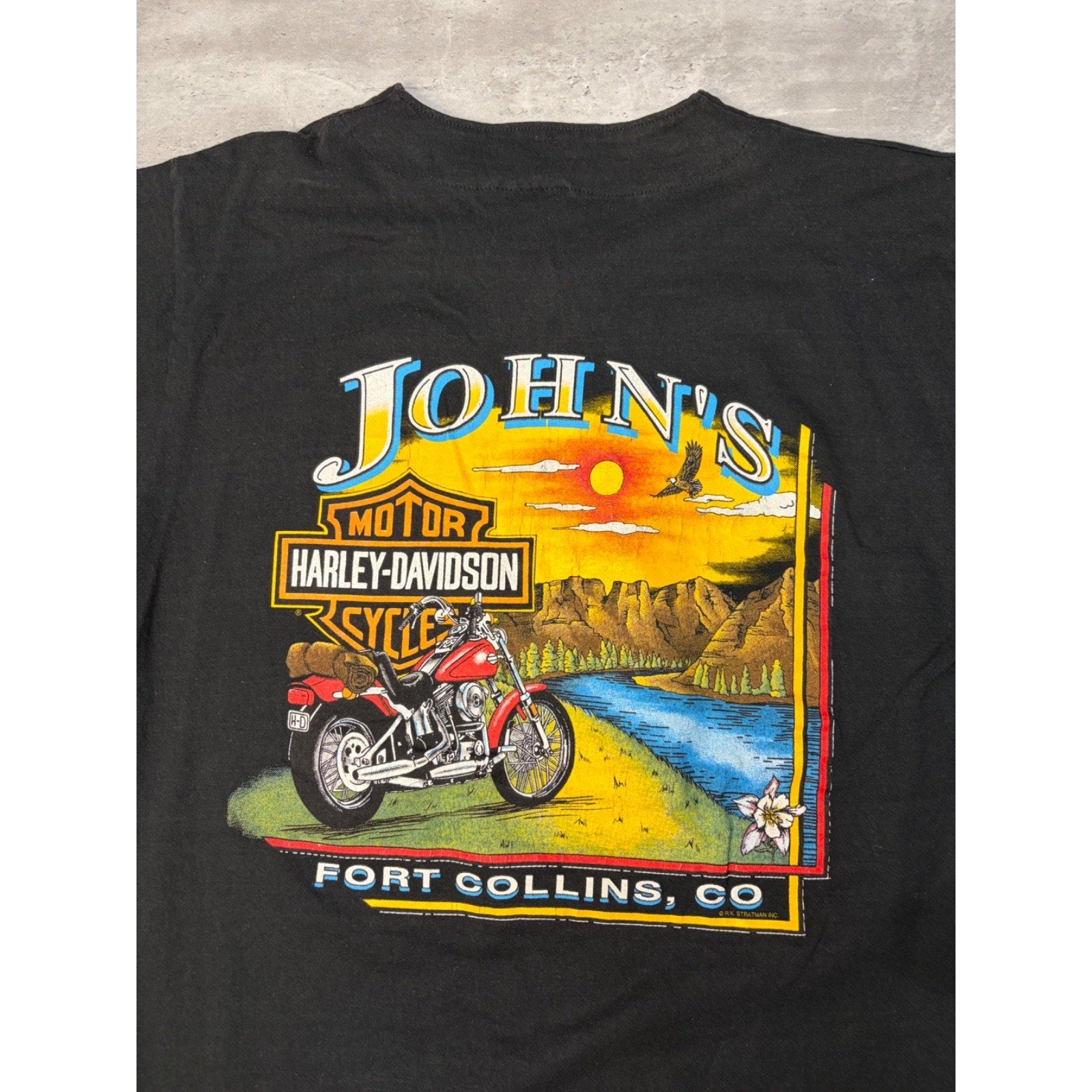 Vintage Harley Davidson Fort Collins Landscape Graphic Baseball Jersey Sz Large