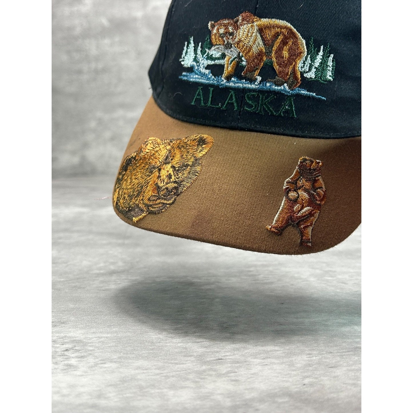 Vintage 90s Alaska Embroidered Bear Graphic Destination Strapback Hat OSFA