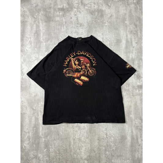 Vintage Harley Davidson Motorcycles Biker Graphic T-Shirt Size 2XL