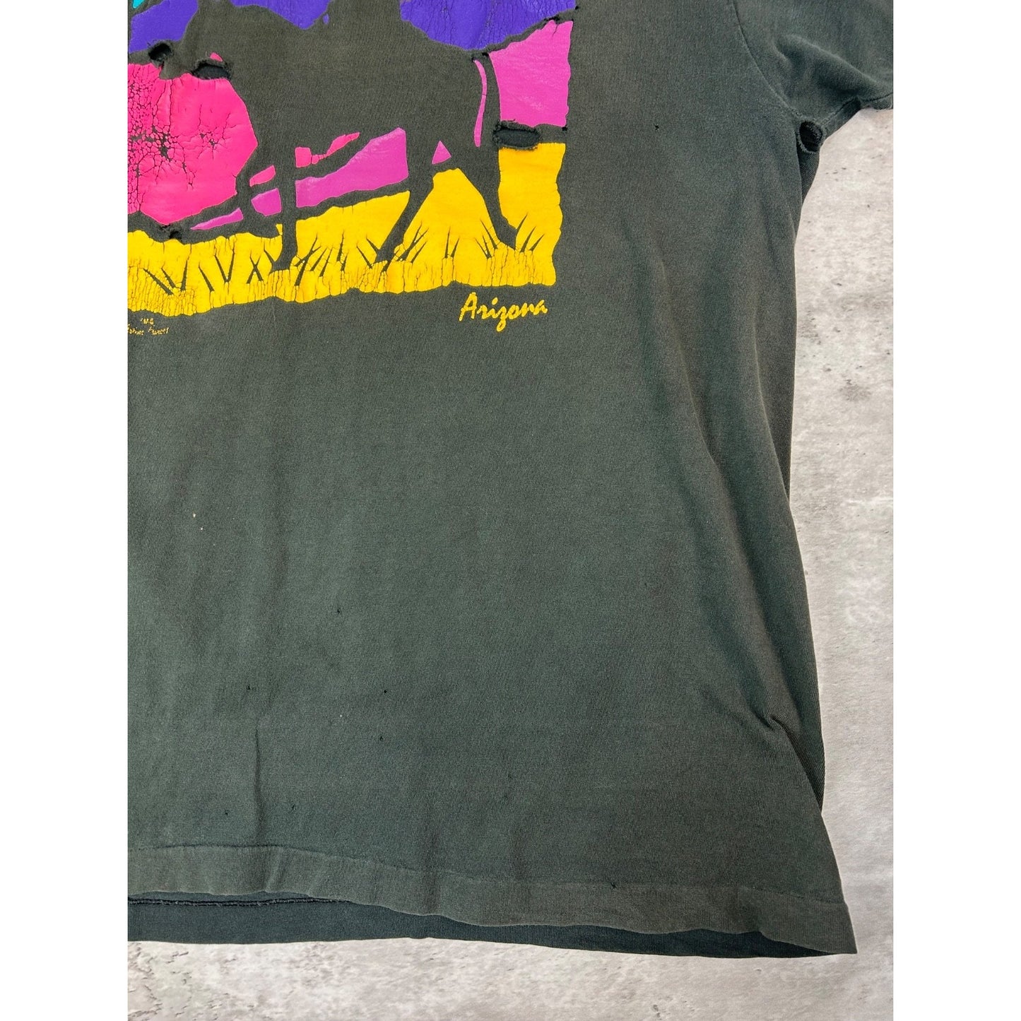 Vintage 90s Arizona Cowboy Graphic Destination T-Shirt Size XL Black