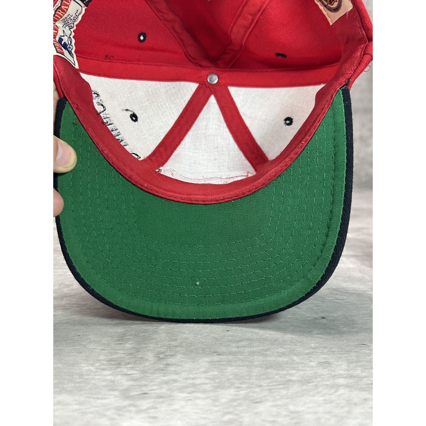 Vintage 90s Detroit Red Wings NHL Embroidered Spellout Starter Snapback Hat OSFA