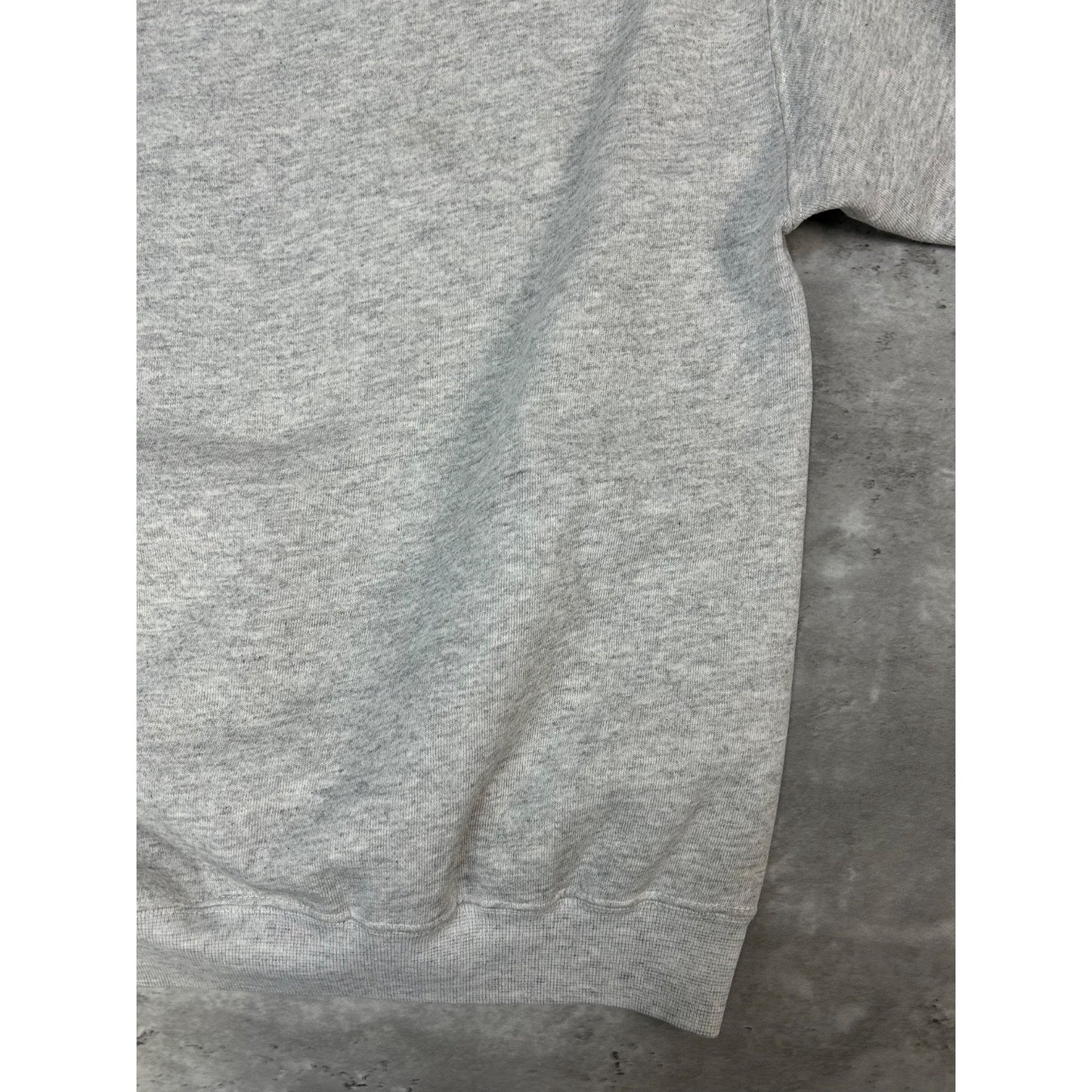 Vintage 90s River Dell Hawks NCAA Baseball Graphic Hooded Sweatshirt Size Large