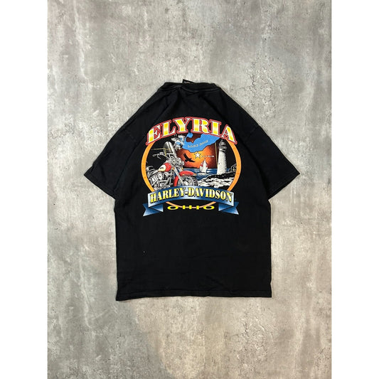 Vintage 90s Harley Davidson Wild Spirit Motorcycle Graphic T-Shirt Size Large