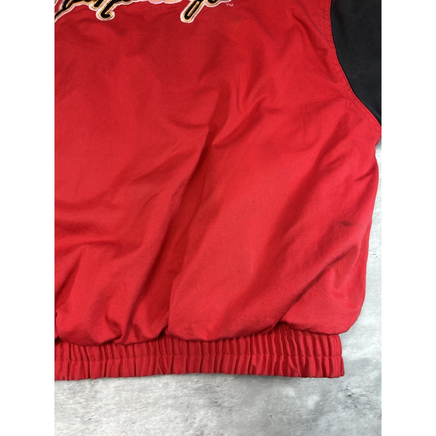 Vintage Dale Earnhardt Jr #8 Budweiser Racing Nascar Racing Jacket Size Large