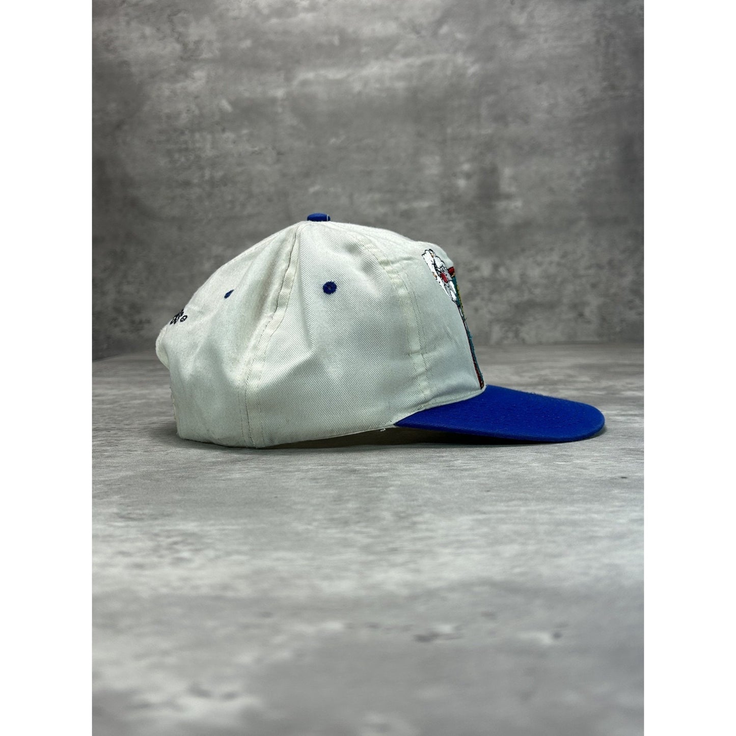 Vintage 90s Looney Tunes Tweety Bird Embroidered Cartoon Snapback Hat OSFA
