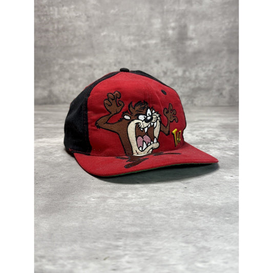 Vintage 1994 Looney Tunes Taz Embroidered Cartoon Character Snapback Hat OSFA