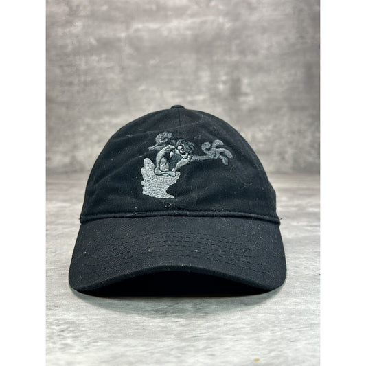 Vintage Looney Tunes Taz Embroidered Cartoon Character Snapback Hat OSFA