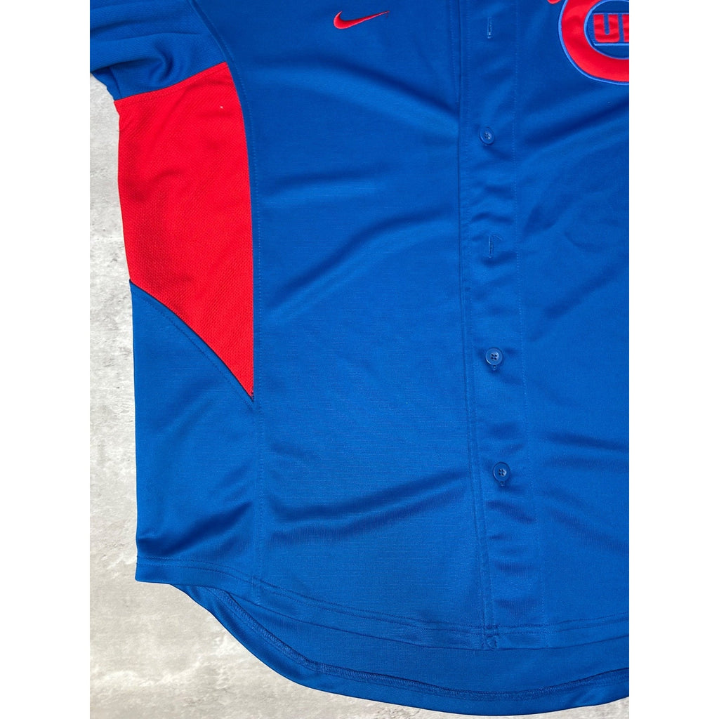 Vintage Chicago Cubs MLB Stitched Nike Baseball Jersey Size Large