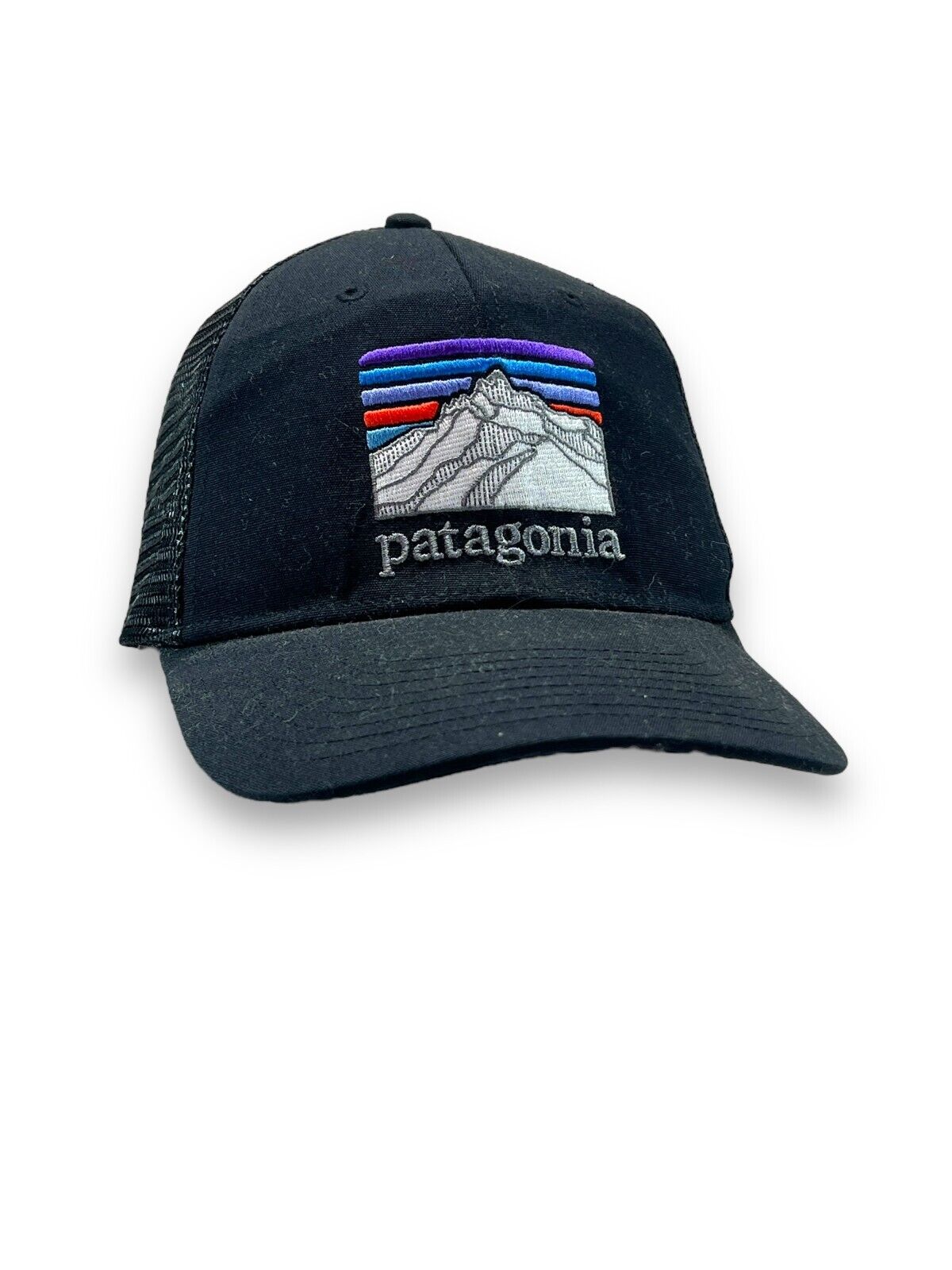 Patagonia Embroidered Mountain Patch Spellout Snapback Hat OSFA