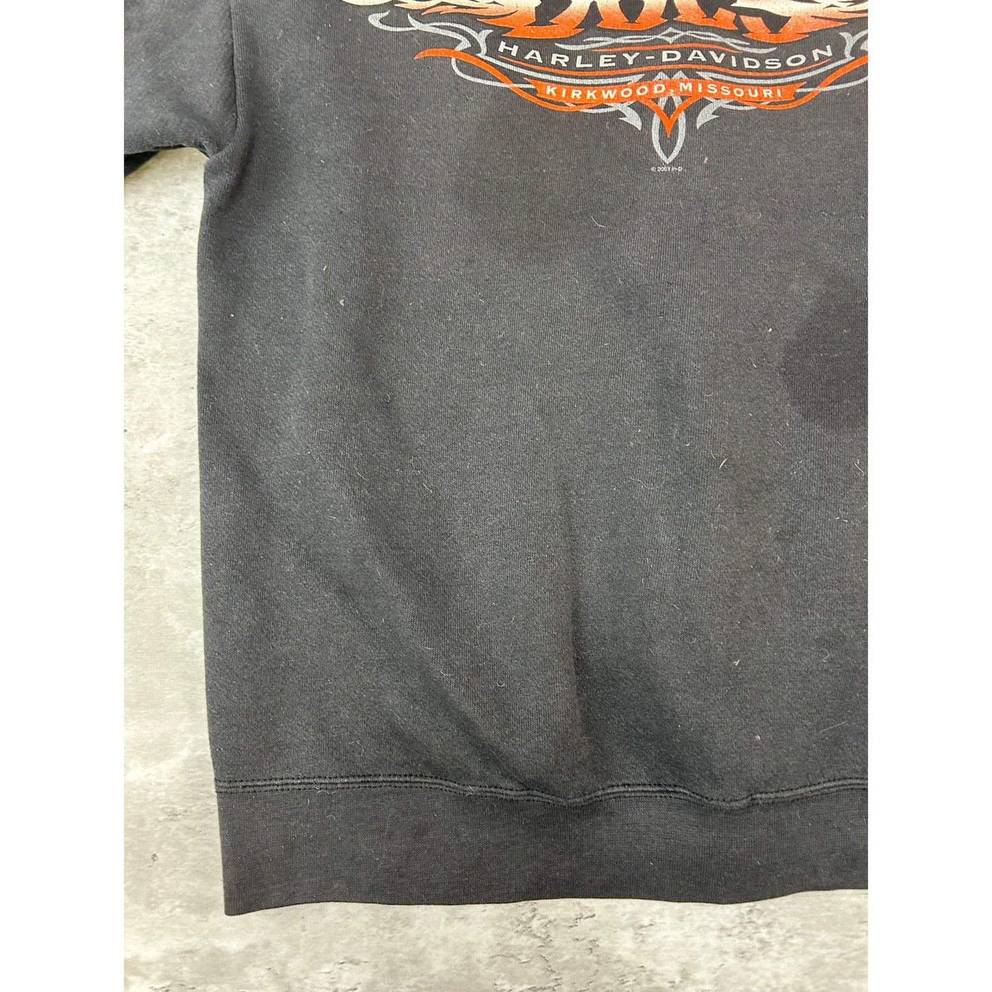 Vintage 2001 Harley Davidson Flame Sleeve Classic Logo Full Zip Sweatshirt Med