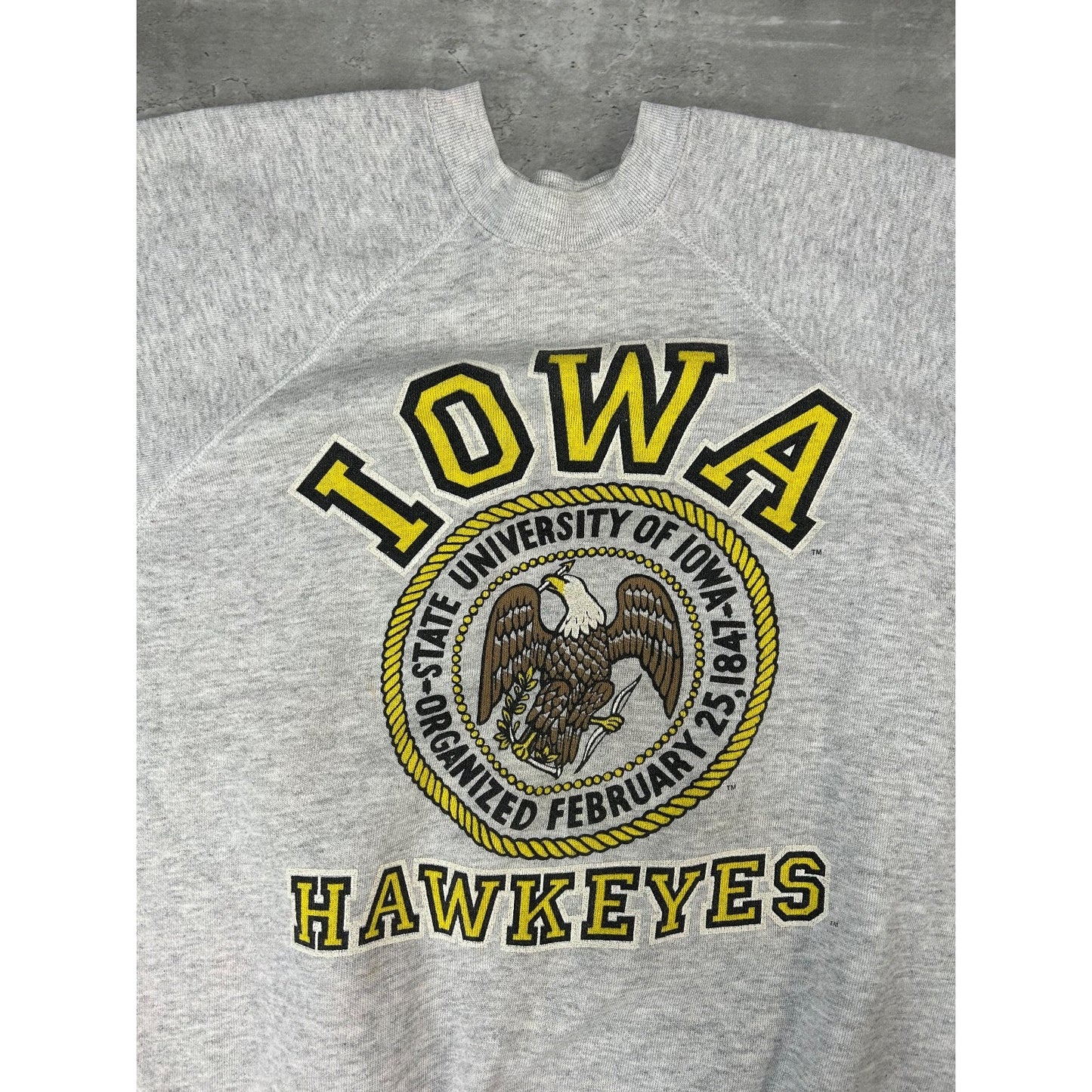 Vintage 90s Iowa Hawkeyes NCAA Collegiate Crest Graphic Sweatshirt Size Medium