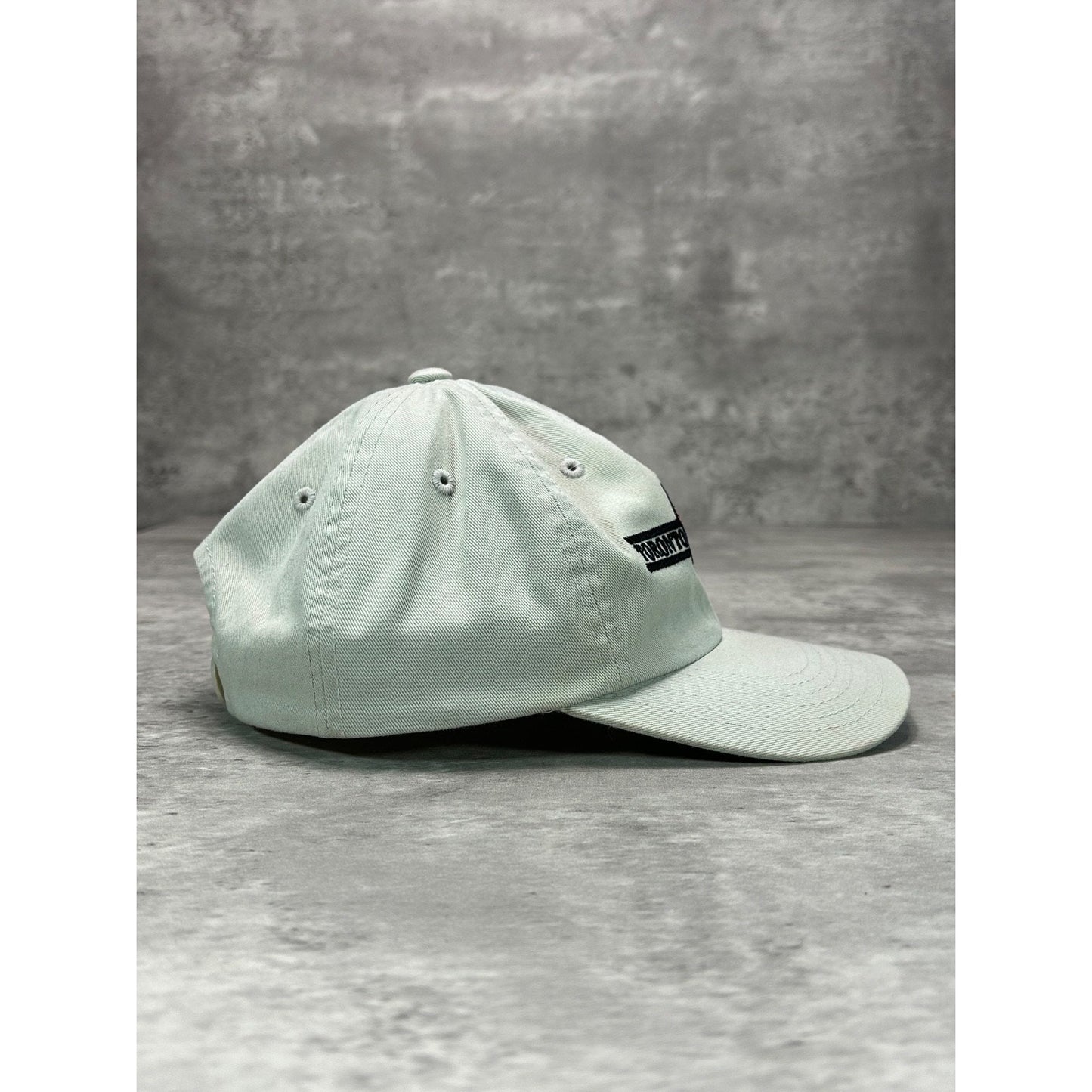 Vintage Toronto Raptors NBA Embroidered Logo Basketball Snapback Hat OSFA